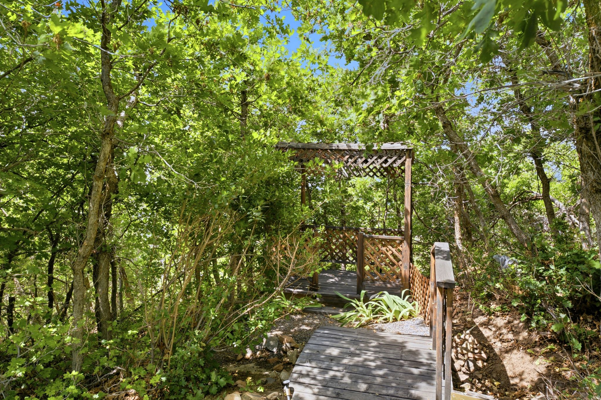 MAPLE COVE - Residential