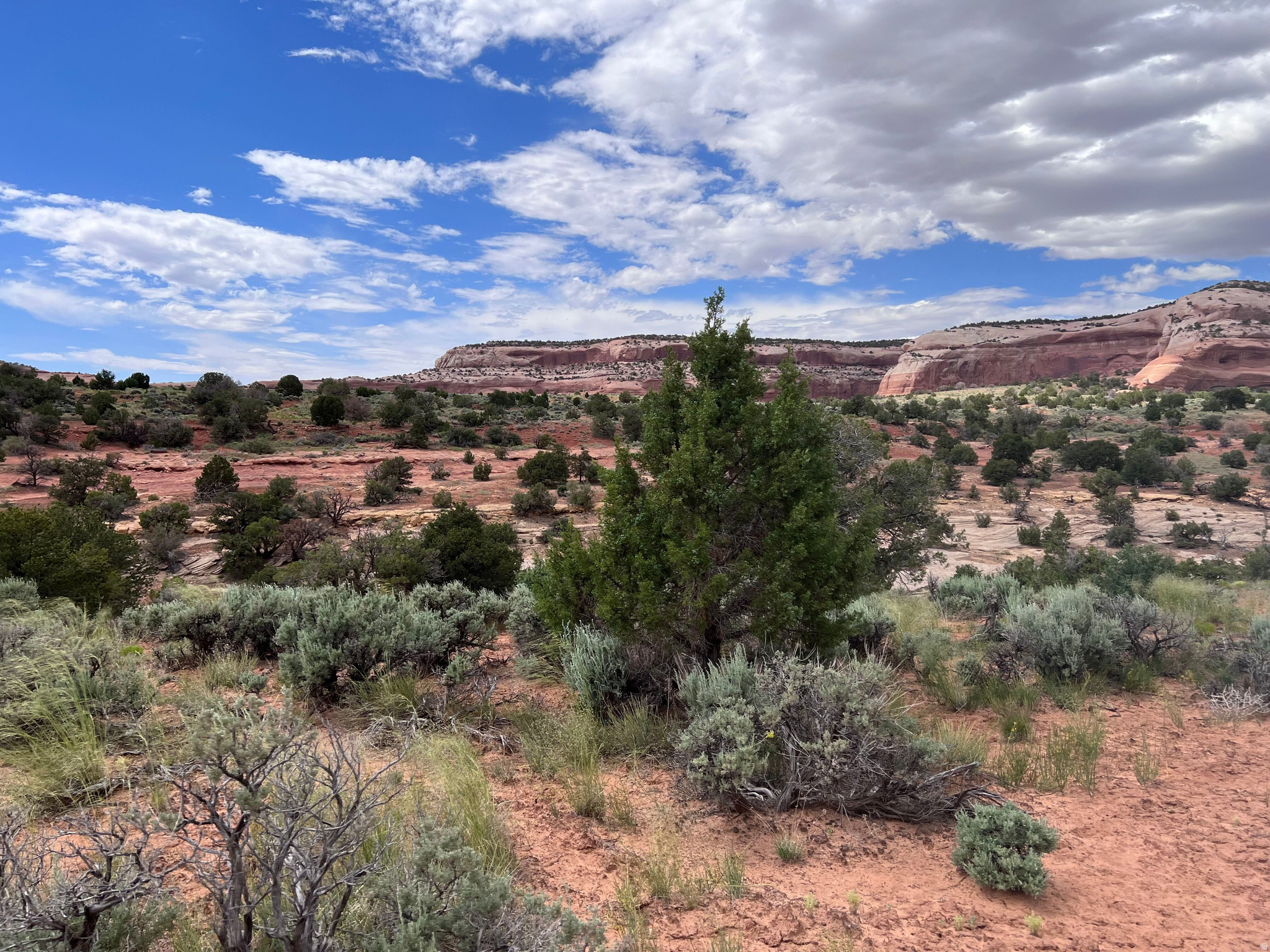 WILSON ARCH RESORT - Land