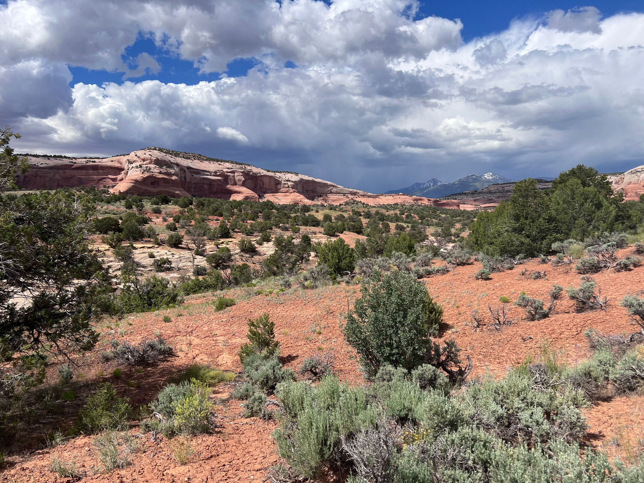 WILSON ARCH RESORT - Land
