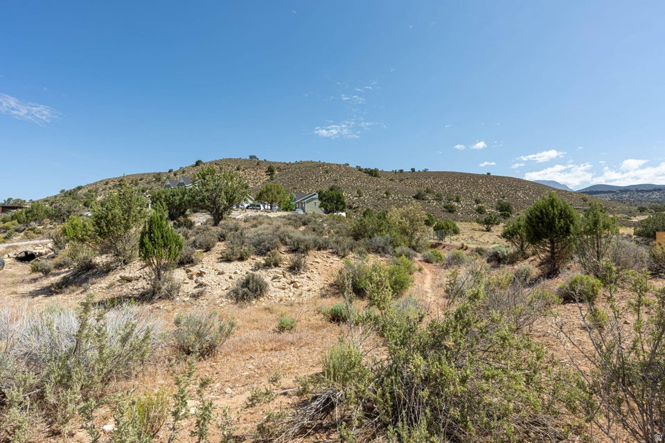 DIAMOND VALLEY ACRES - Residential