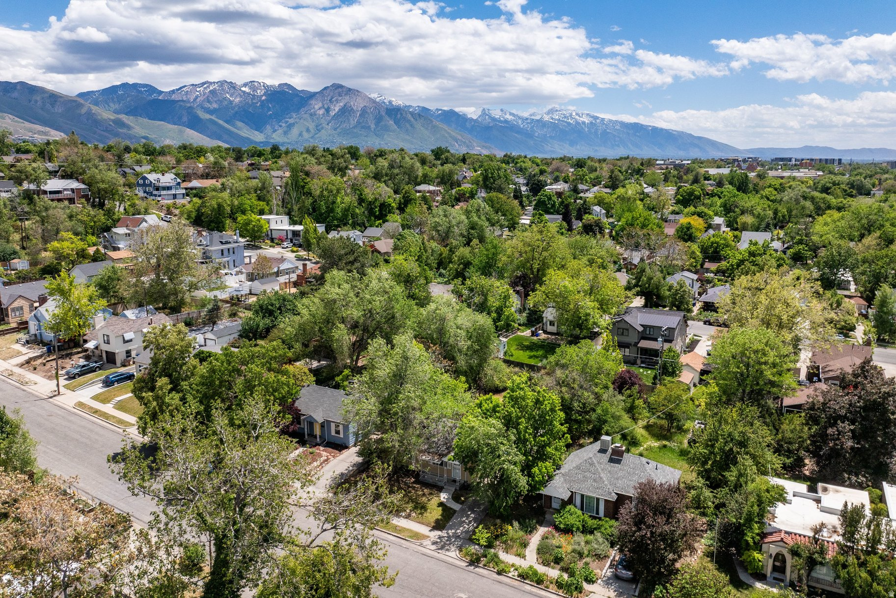 LINCOLN PARK - Residential
