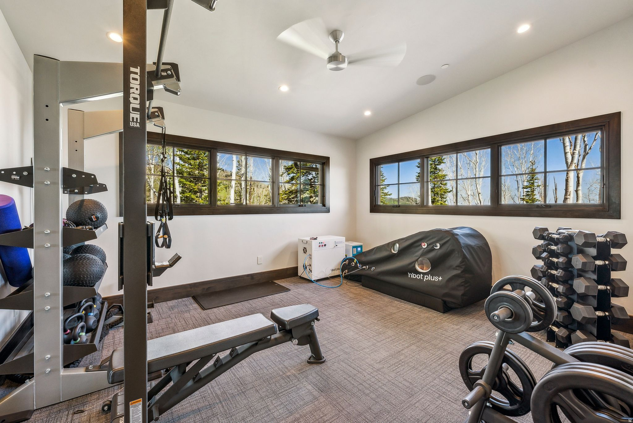 COLONY AT WHITE PINE - Residential