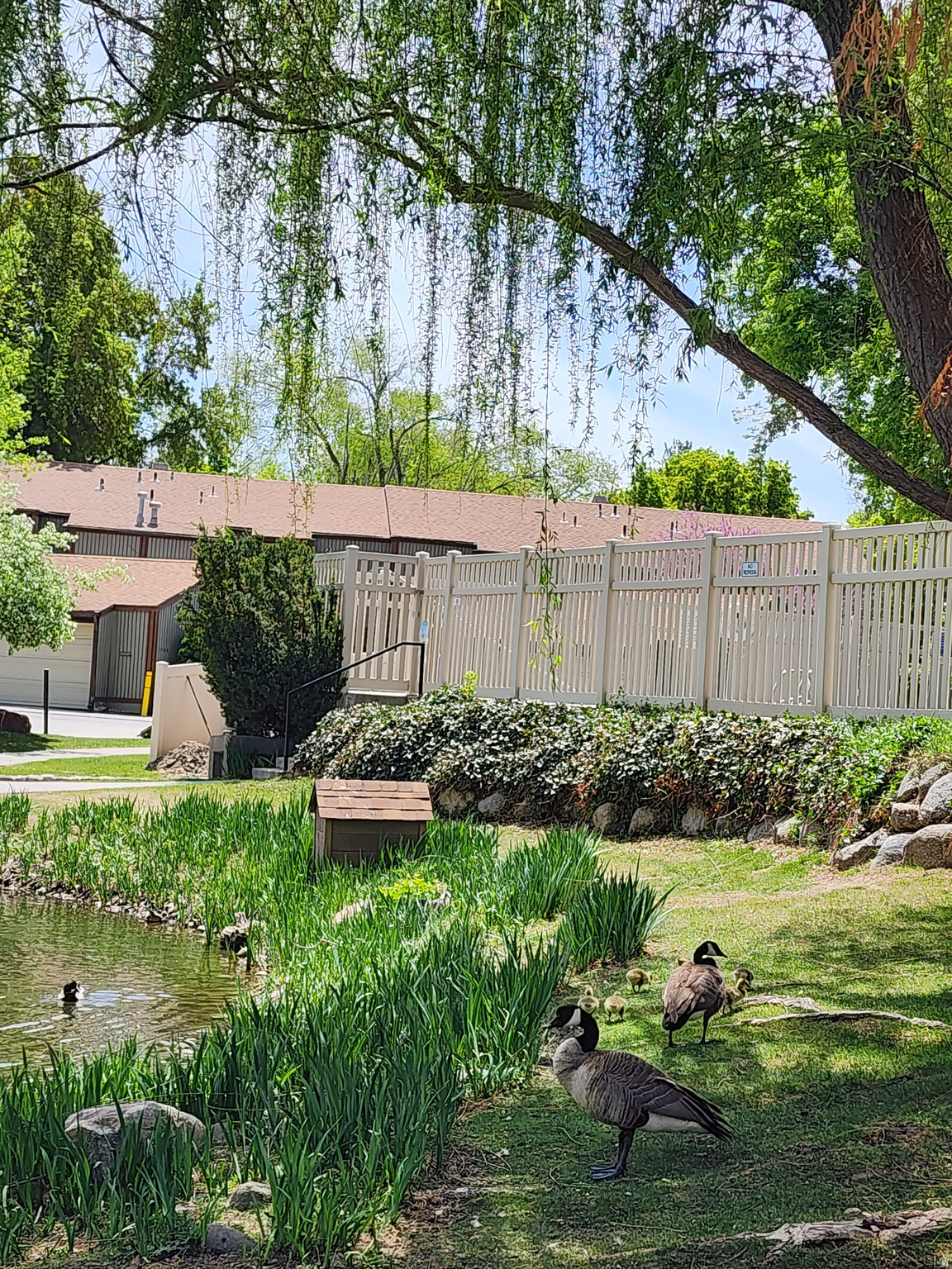 THE WILLOWS - Residential