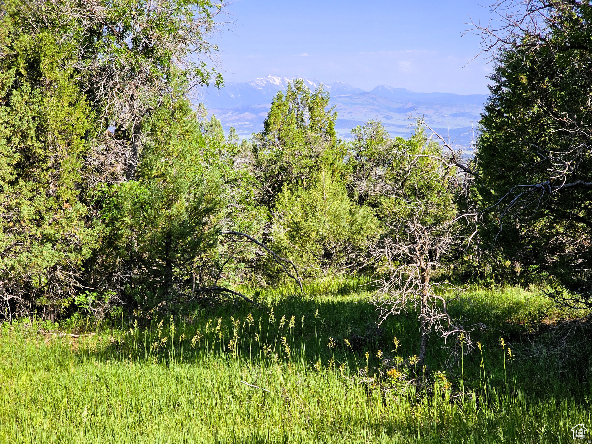 SKYLINE ACRES - Land