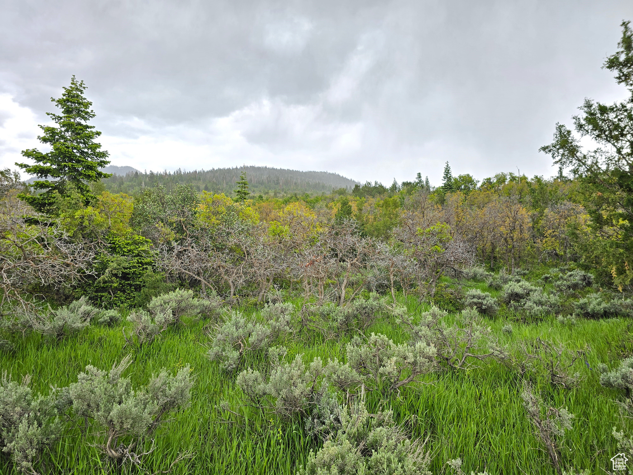 SKYLINE ACRES - Land
