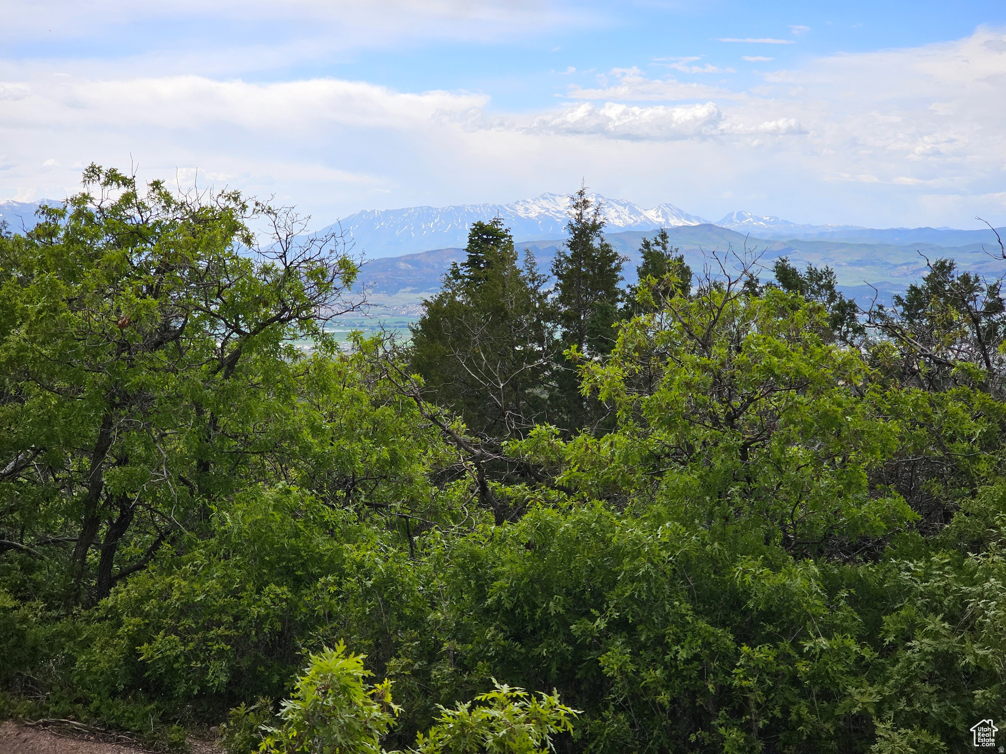 Pine trees, meadows, power, several different options for water on this Private Recreational Property. Would you like 5, 10, 15, 20 Acres, it's available here. Enjoy views of the Sanpete Valley and surrounding mountains. Over 5 acres of heaven to spread out on and less then a quarter mile from a county paved and maintained road. Own your own land, NO HOA. Stop fighting the crowds! Come park your trailer, RV, tiny home, anything on wheels, even your family and friend's trailers-plenty of room! Elevation is 7,013 feet. Minutes away from the Manti-La Sal National Forest, Skyline Drive 350-mile trail system, lakes, hiking, hunting, fishing and much more. Come get away from it all and enjoy the beauty of nature and cool, crisp, clean mountain air. About 12 minutes from Mt. Pleasant which is a small town with many amenities: hospital, restaurants, full service hardware and grocery stores, parks, community indoor swimming pool, even a drive-in theater. You could install propane for gas and a septic system for sewer, if you choose. Rocky Mountain Power is available for this lot. Water is a B-share for an additional cost, you haul from a fill station, have water delivered, drill your own well, or connect to nearby water system. Within 100 yards of year round access in the winter time. Additional lots for sale. MLS map is correct. Buyer to verify all information. Google Earth or Maps are 39.47926, -111.40559