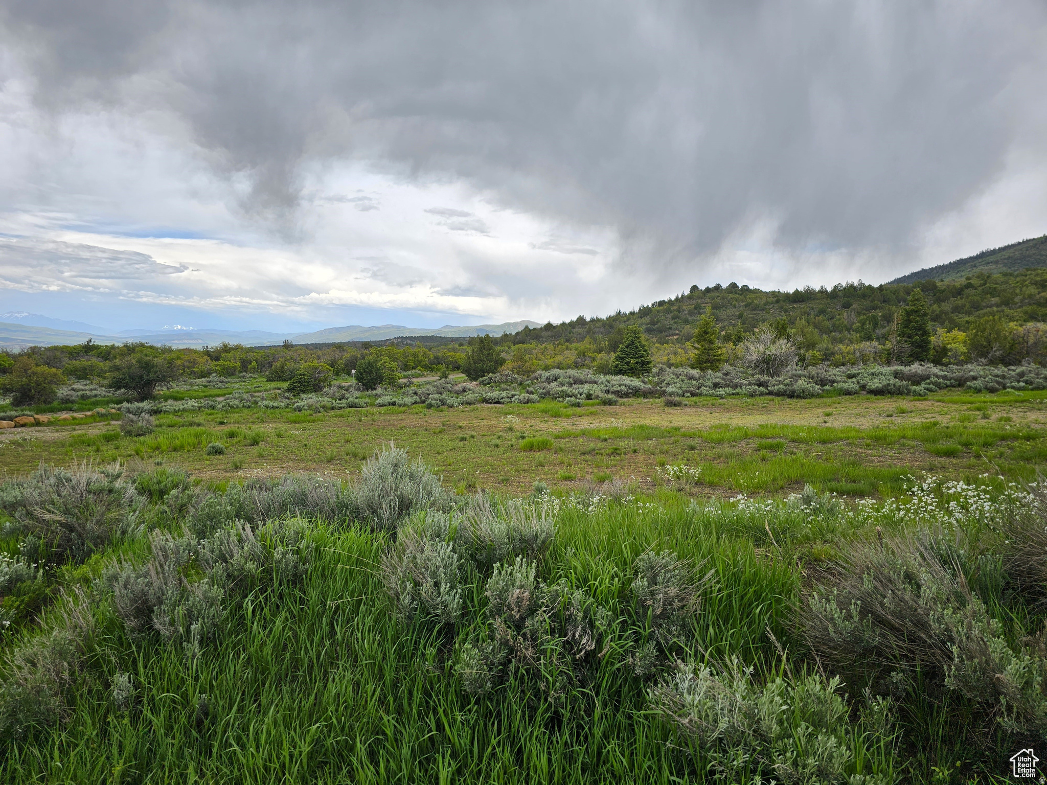 SKYLINE ACRES - Land