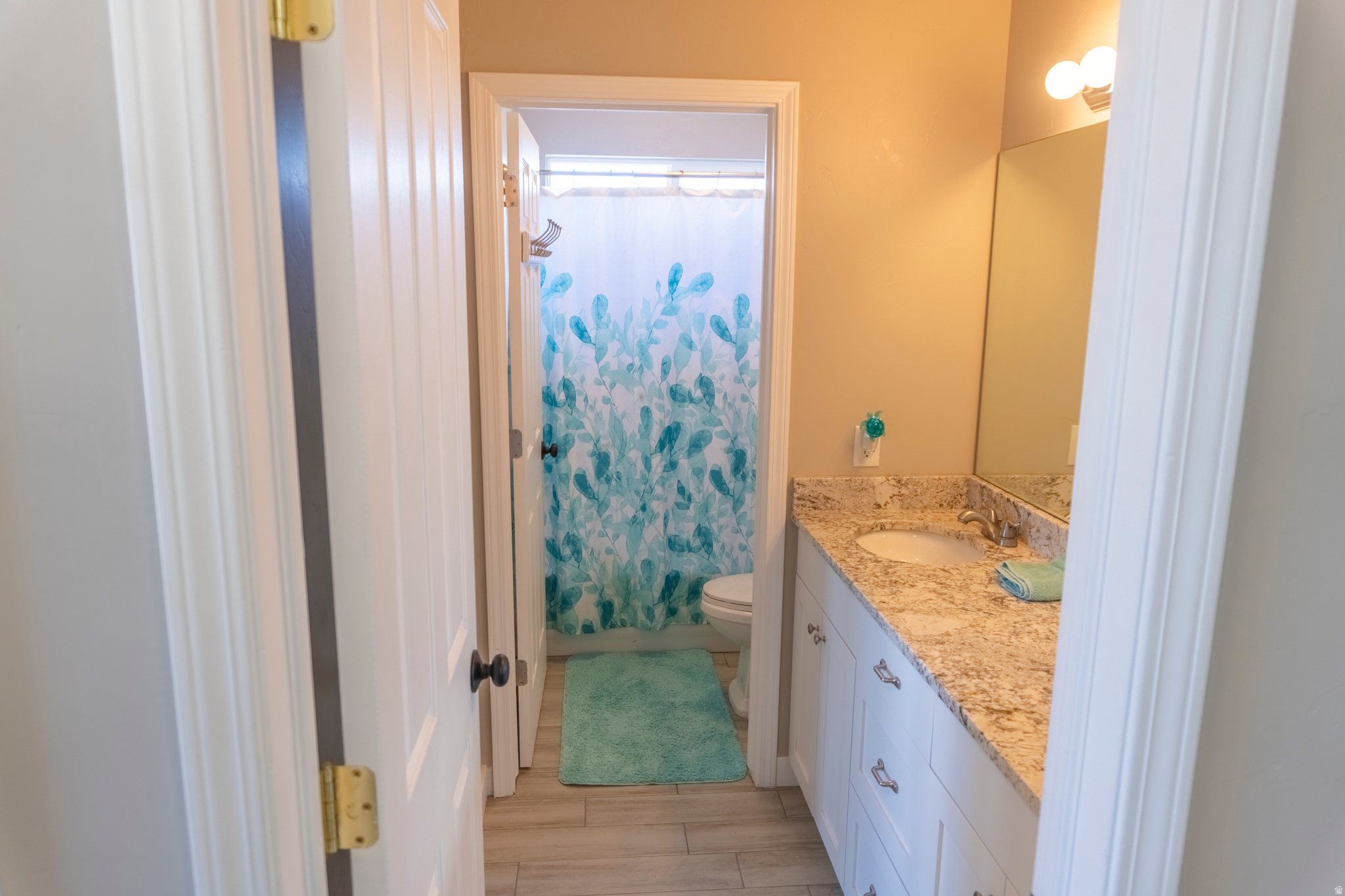 SOUTH WILLOW - Residential