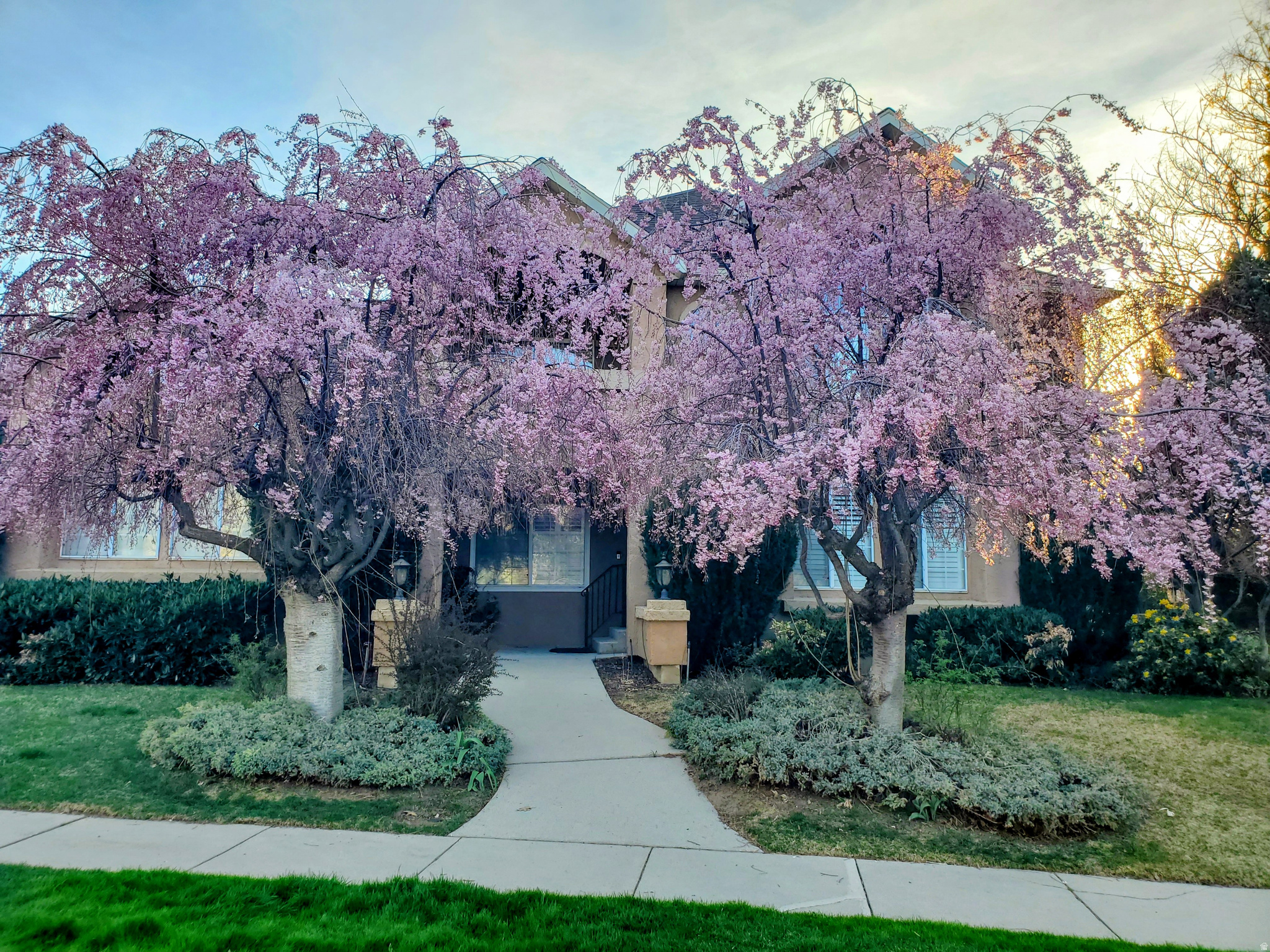 HIDDEN OAKS - Residential