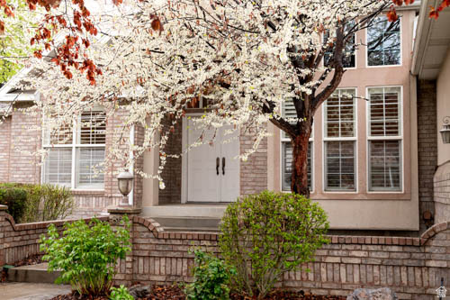 COUNTRY SPRINGS - Residential