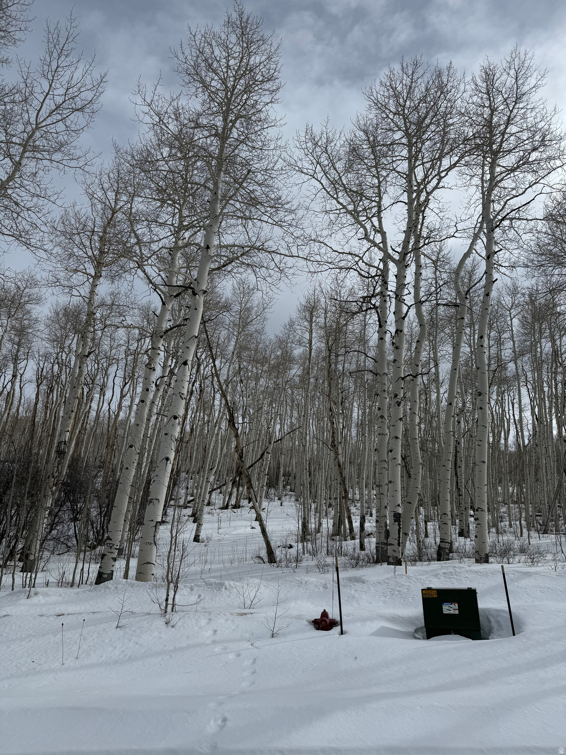 SOLDIER SUMMIT ESTATES - Land