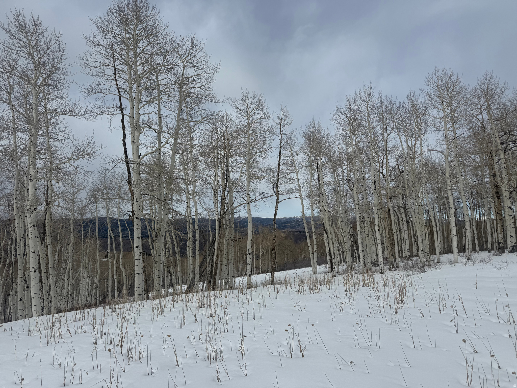 SOLDIER SUMMIT ESTATES - Land