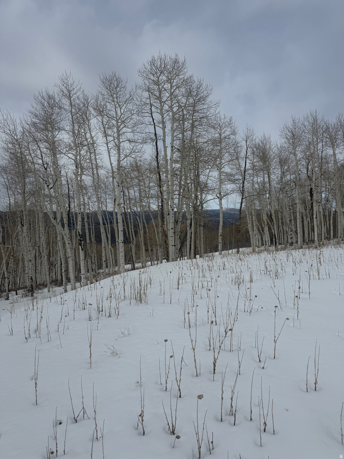 SOLDIER SUMMIT ESTATES - Land