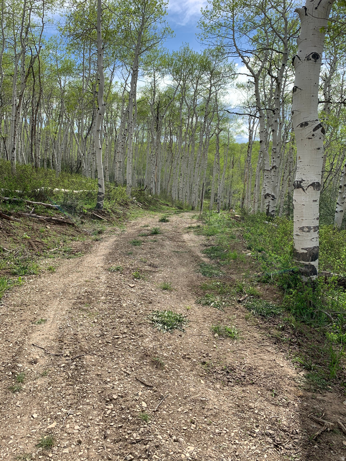 SOLDIER SUMMIT ESTATES - Land