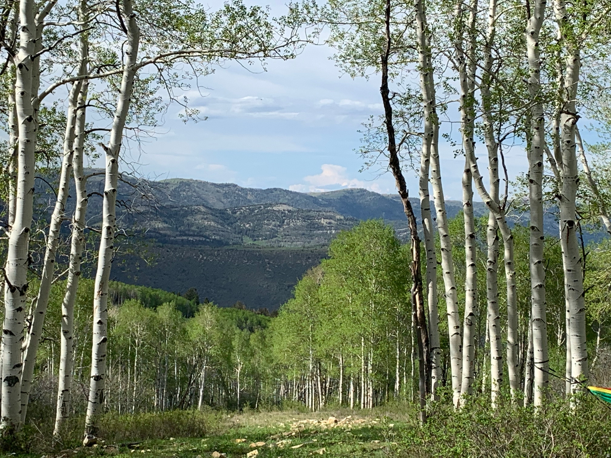 SOLDIER SUMMIT ESTATES - Land
