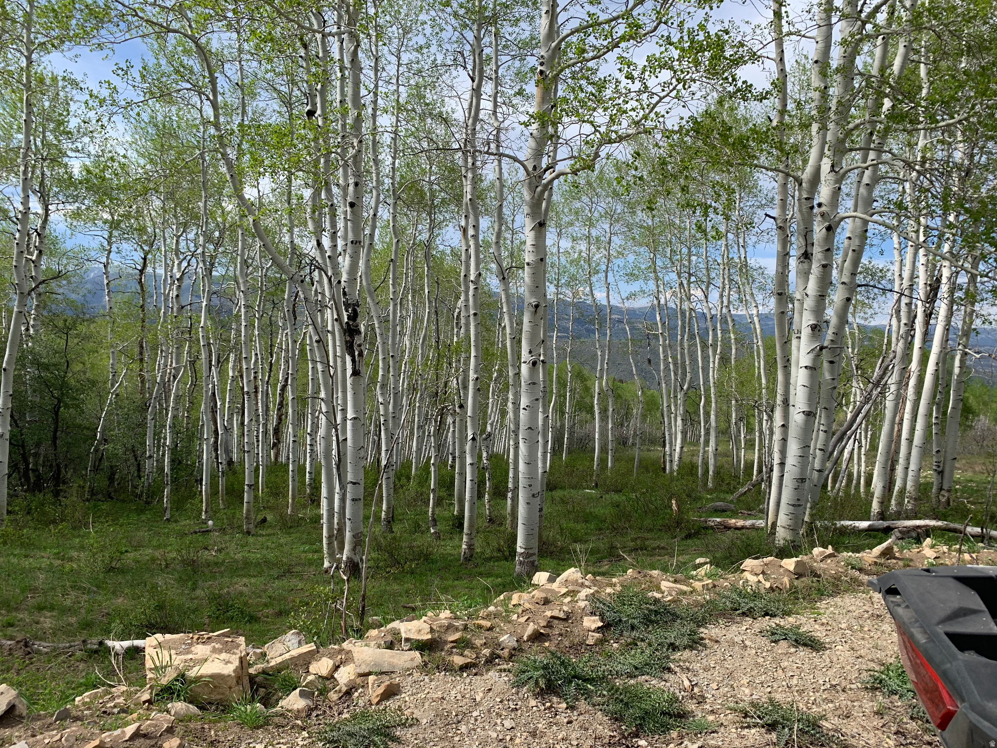 SOLDIER SUMMIT ESTATES - Land