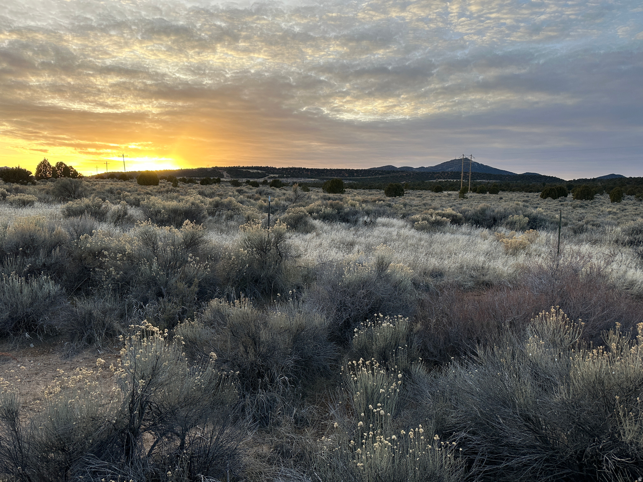Prepare for your dream home on this 5.18-acre horse property, located approximately 15 mins west of Cedar City. The well is only 1 yr old, 500' feet deep, with pump and pressure system installed. Power on site. 1 acre-foot water right avail, not included.
