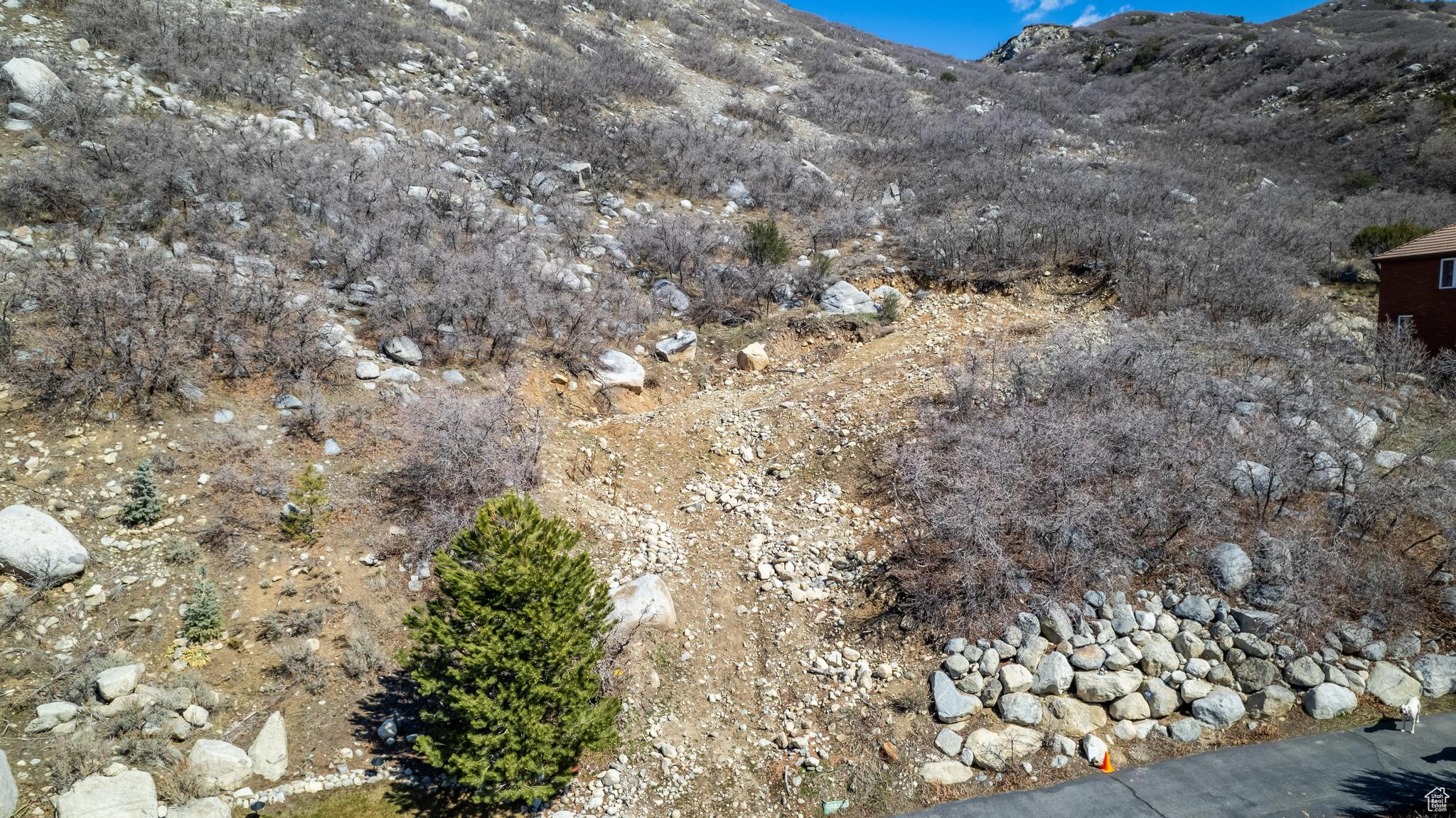 SEVEN SPRINGS - Land