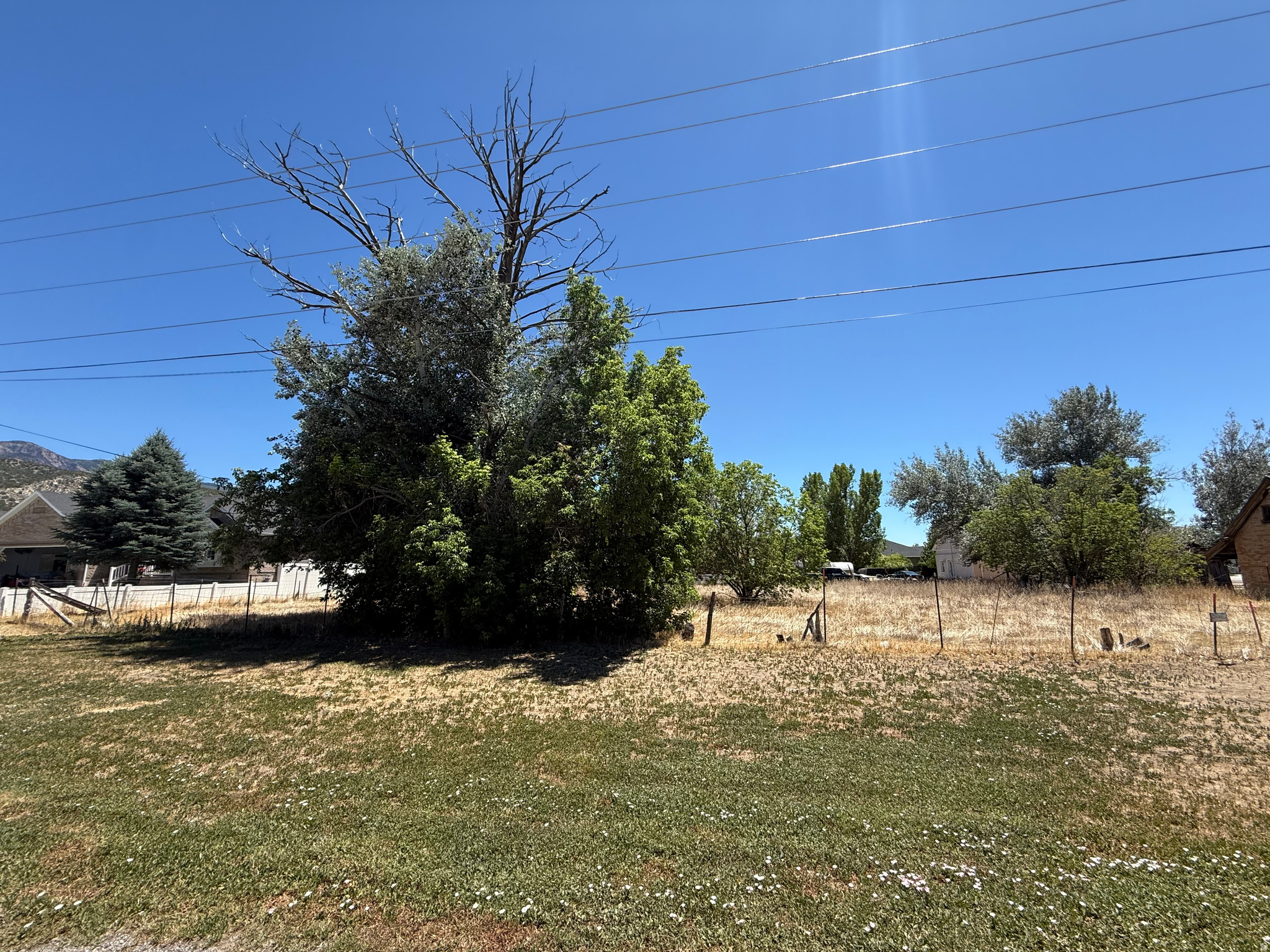 INTERIOR LOT - Land