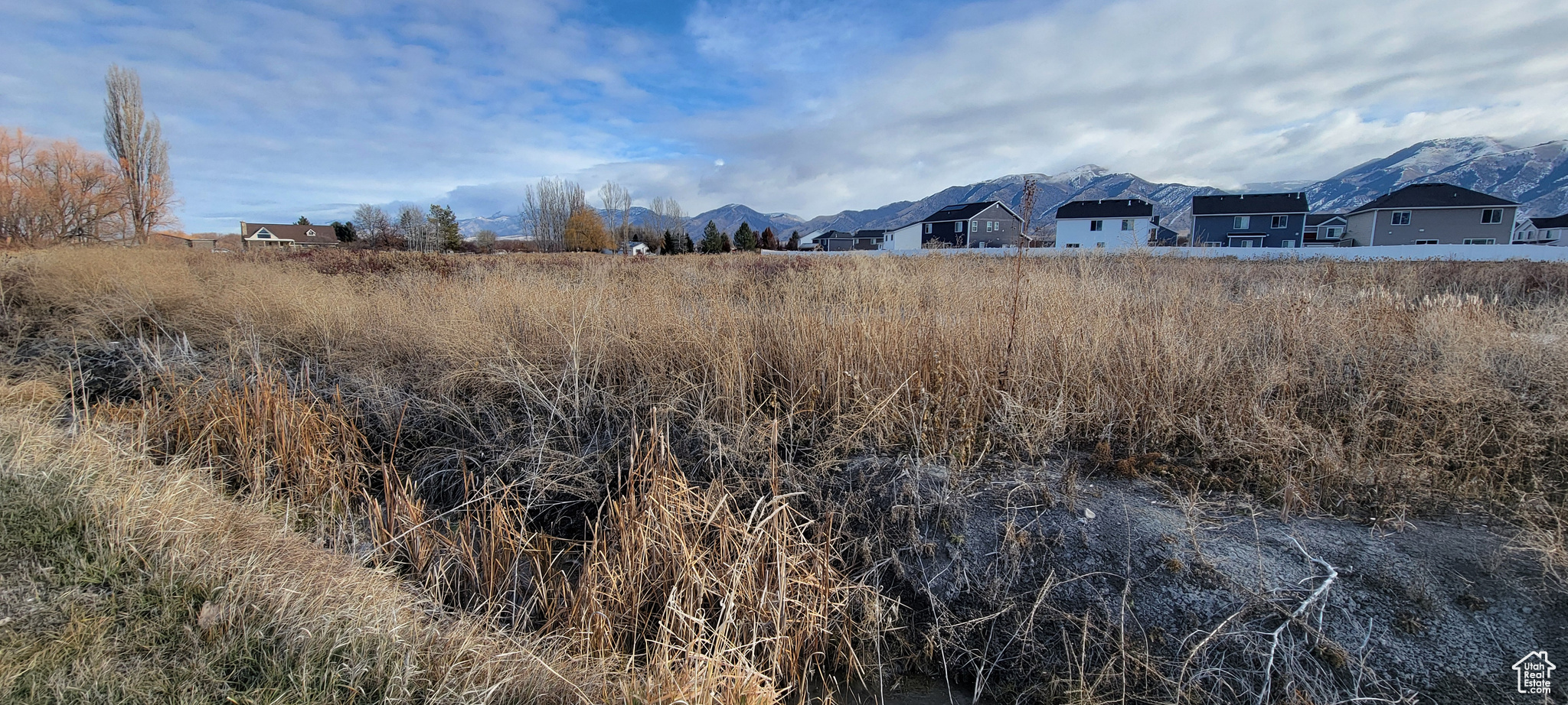 HOGGAN ESTATES - Land