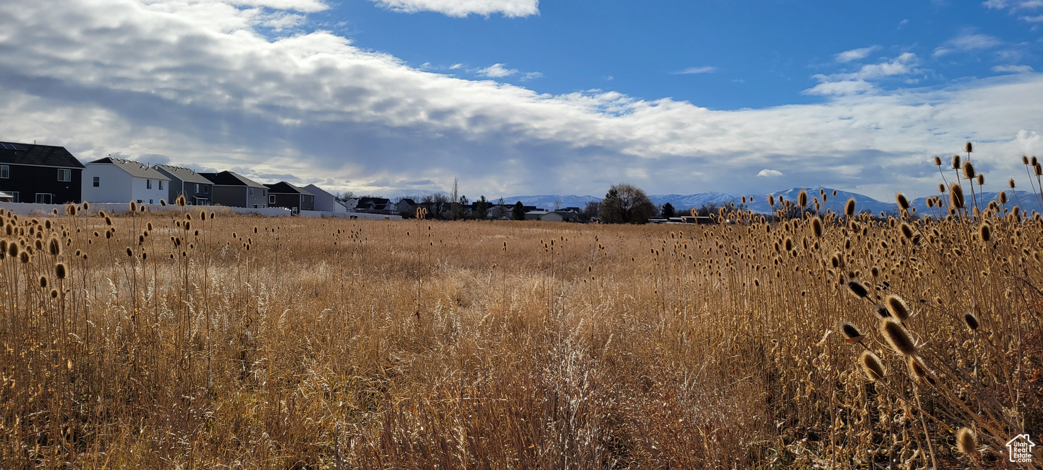 HOGGAN ESTATES - Land