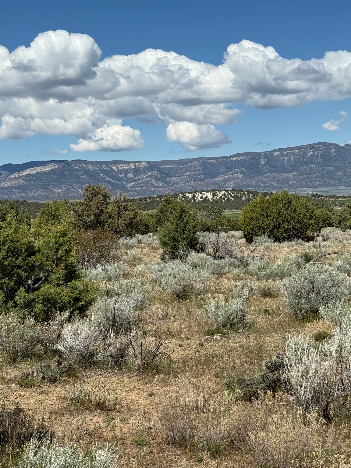 Spring City Ranches is nearly sold out, with one 10-acre lot remaining.  If you're looking for the perfect mix of mountain and country living, this is it. Conveniently located just minutes from Spring City and a short drive to Ephraim-home to Snow College, Walmart, and great shopping and dining. Includes two water shares through Horseshoe Mountain Irrigation-perfect for livestock, gardening, or future development. You can trade in the two water shares for a well right.