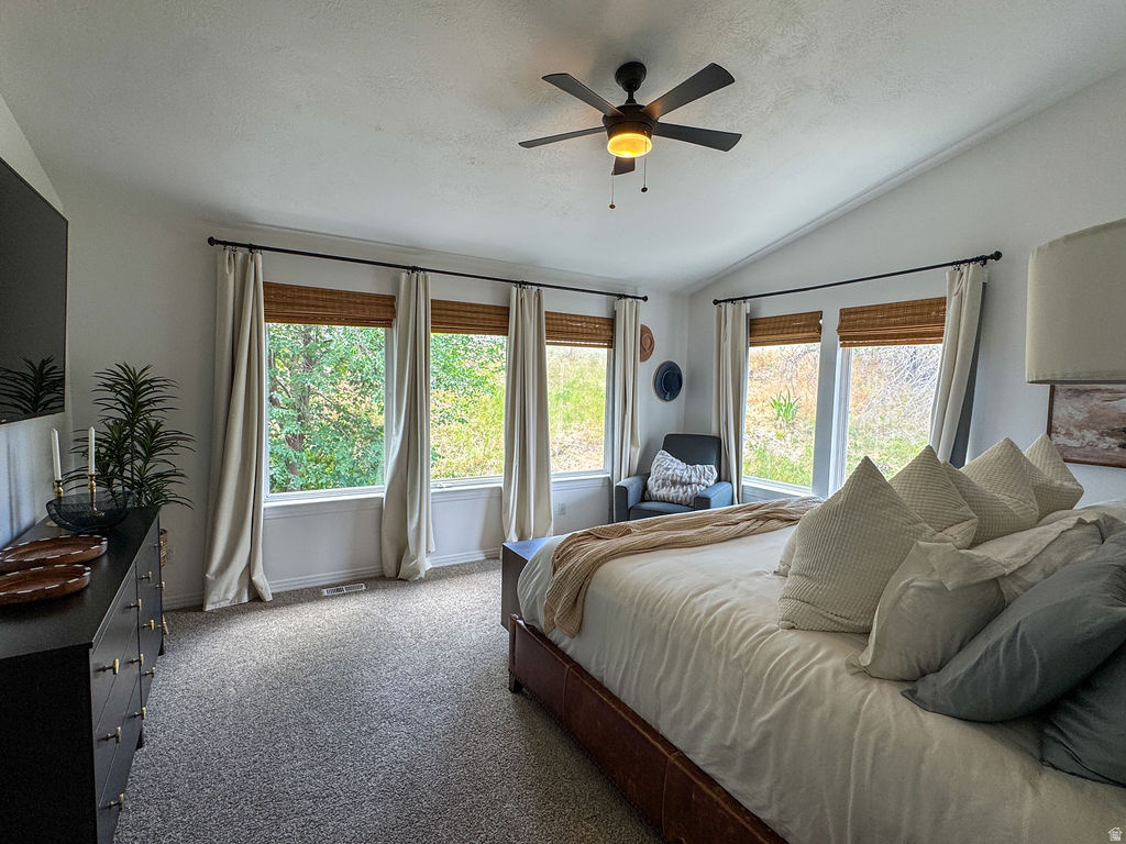 SOUTH MOUNTAIN - Residential