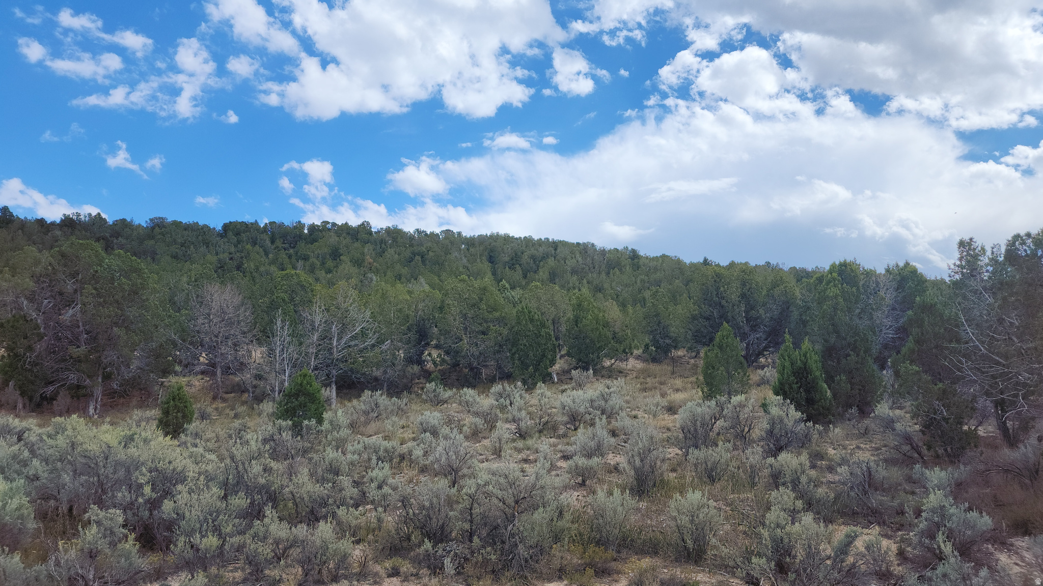 Build your dream home, cabin, or short-term rental on this beautiful 1.01-acre forested lot in Blackhawk Mountain Estates. Access to 1.2M acres of forest land.  Swimming lake under construction.  Community trails.  New and upscale mountain community with quick highway access.  Road paving under construction from Highway in.  Live. Play. Escape. Ready to build now? Ask about Lux Home Builder incentives! Information provided is deemed reliable, but should be independently verified by any interested party.