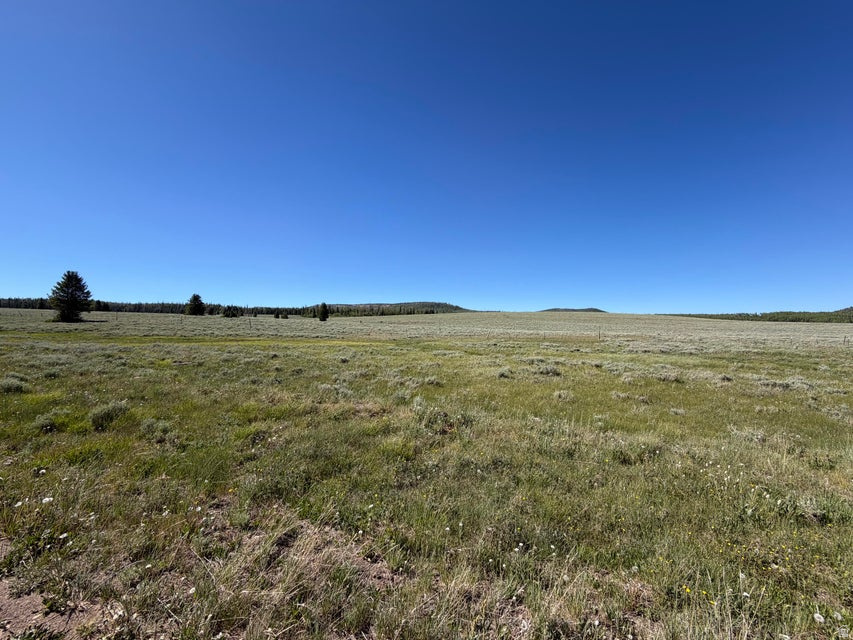 Warning: Side effects of owning this lot may include fresh mountain air, star-filled skies, and suddenly becoming ''the friend with the cabin.'' This vacant lot on E. Meadow Lake Drive is your blank canvas for creating the mountain retreat you've been daydreaming about. Whether you're planning a cozy cabin, a modern escape, or just want to own a slice of Brian Head before someone else does, this property is ready for your vision. Minutes from skiing, hiking, mountain biking, ATV trails, and endless outdoor adventure, you'll have four seasons of excuses to get away. Bring your builder, your imagination, and maybe a hammock--because mountain life is calling.