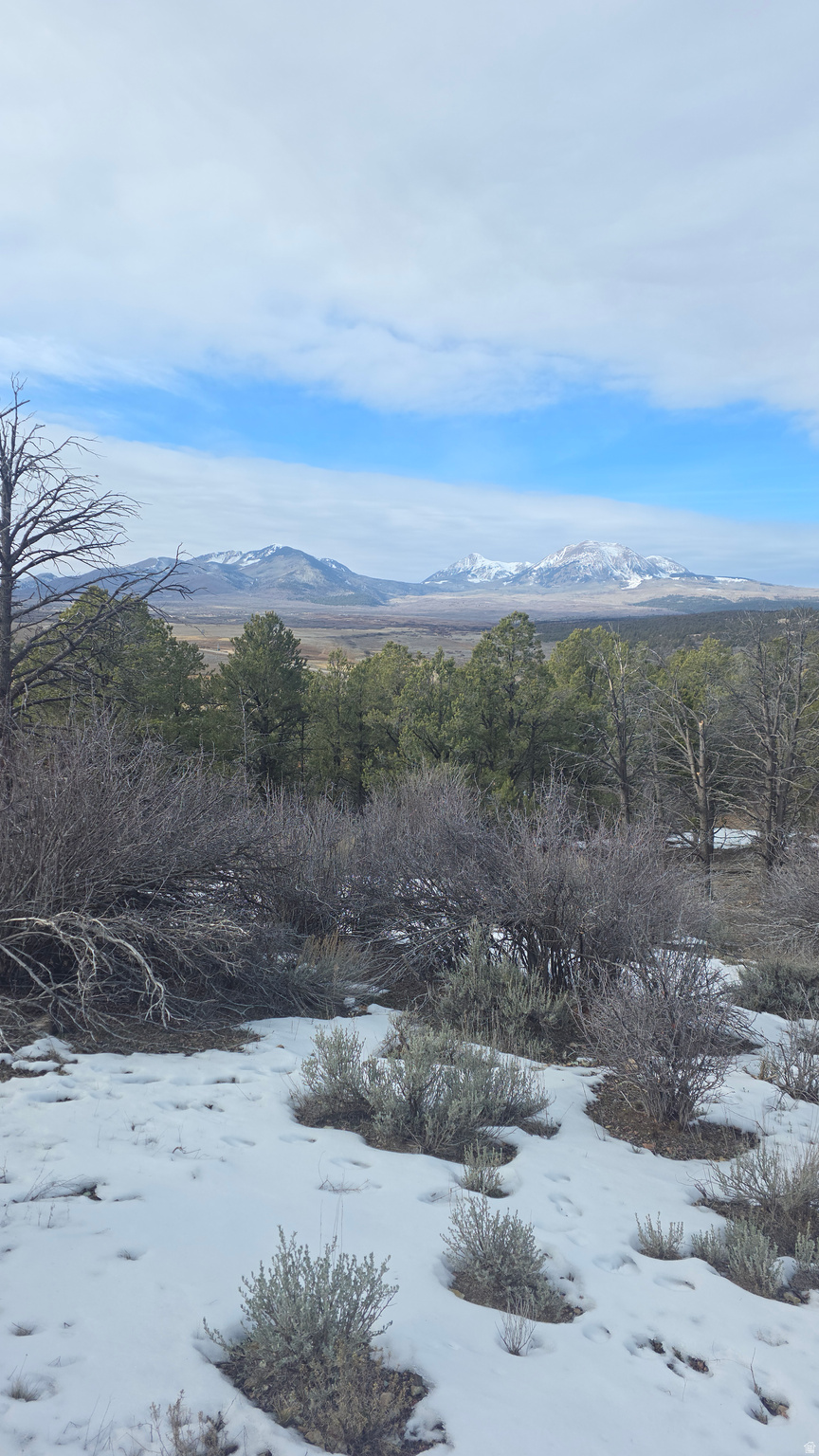 This 13.85acre Wray Mesa property is truly spectacular.  There is a large grove of mature Ponderosa pines and a remarkable view of the La Sal mountain range.  The property is situated 45 miles from Moab, 80 miles from Telluride, and centrally located to some of the best recreational land in the American Southwest.  Minutes from the La Sal mountains &Buckeye reservoir(17mi), Canyonlands & Arches National Parks, Deadhorse Point State Park, the Abajo mountains, the  Uncompahgre mountains, the Dolores River Wilderness Study area, and the Western Slope of Colorado are all part of your backyard.   The property sits at 7300', a true oasis on the Colorado Plateau.  The recreating opportunities here are all world class, whether it is; Jeeping, mountain biking, motorcycling, climbing, hiking, canyoneering, skiing, or just exploring the glorious Southwest.  Wray Mesa road is maintained year round providing excellent access no matter the time of year.  Make your Mountain Retreat dream come true.