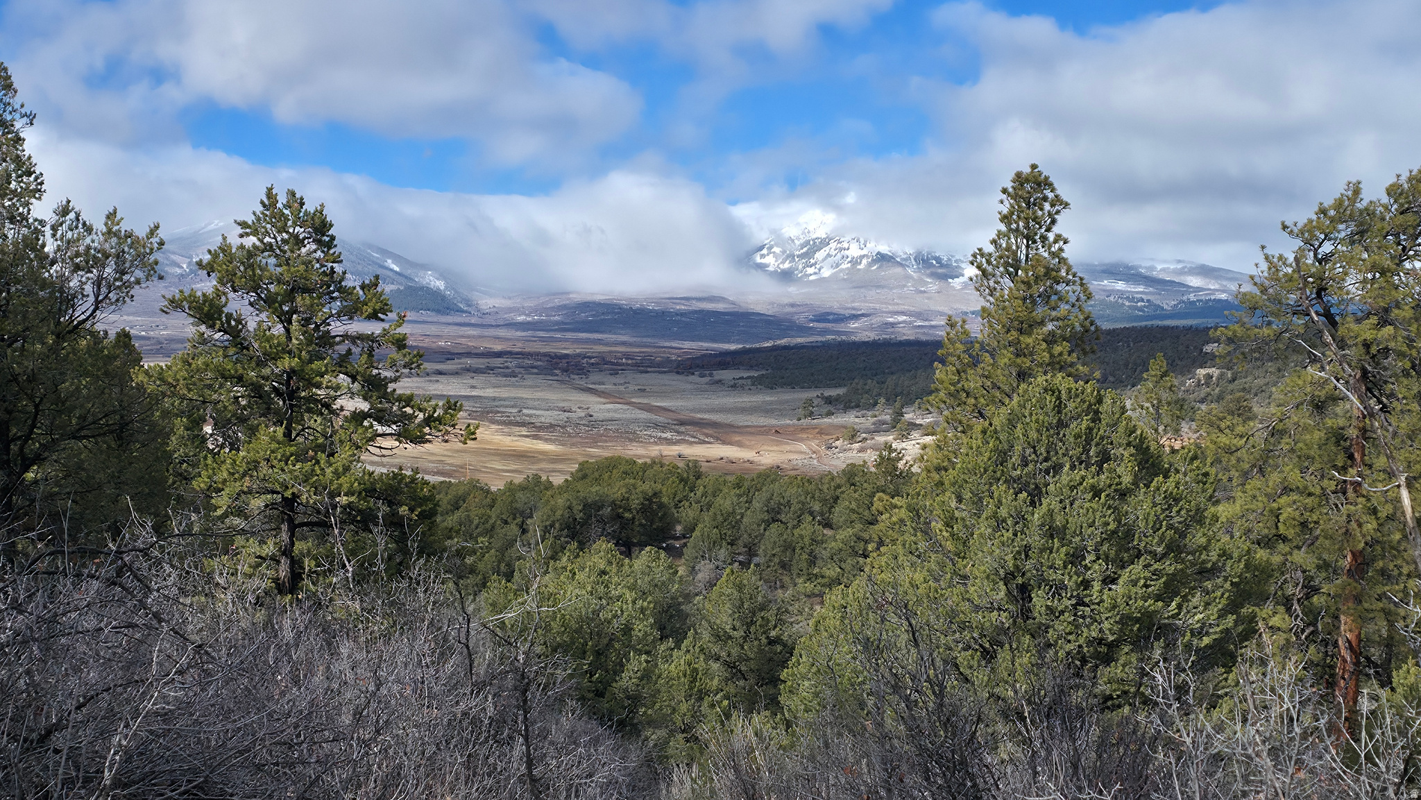 WOODLANDS AT LA SAL SUBDIVISION - Land