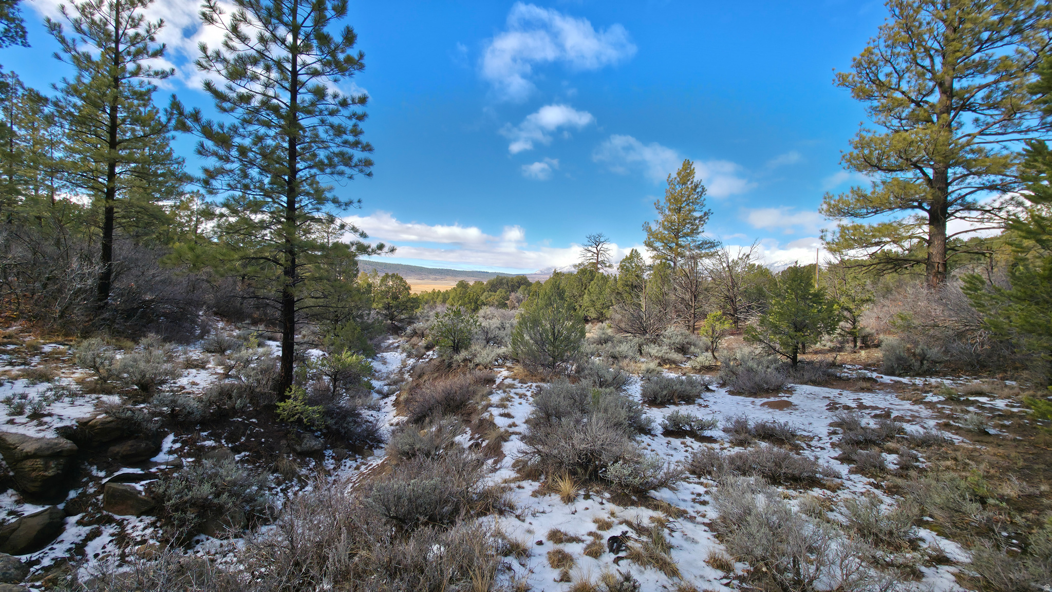 WOODLANDS AT LA SAL SUBDIVISION - Land