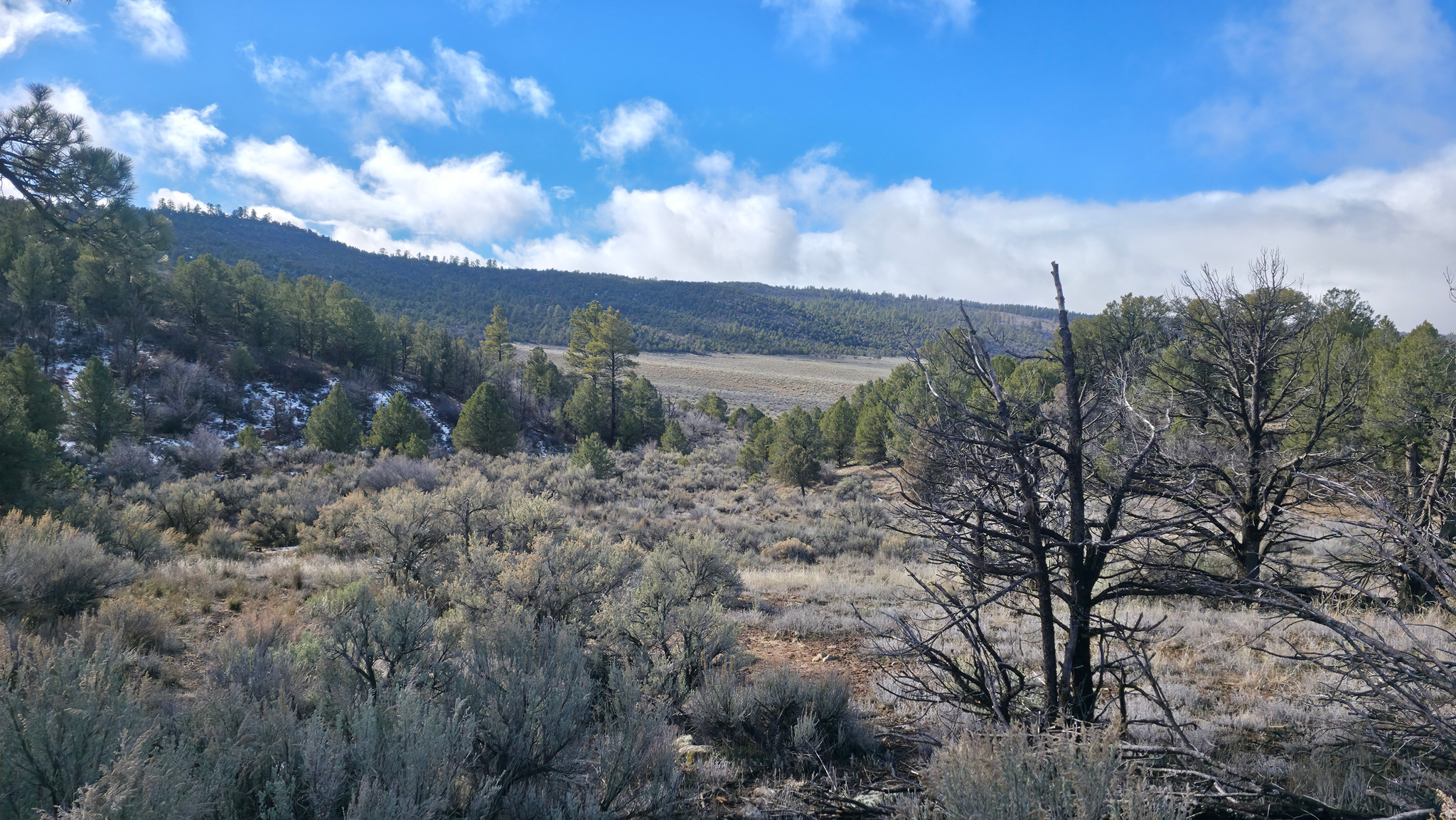 WOODLANDS AT LA SAL SUBDIVISION - Land