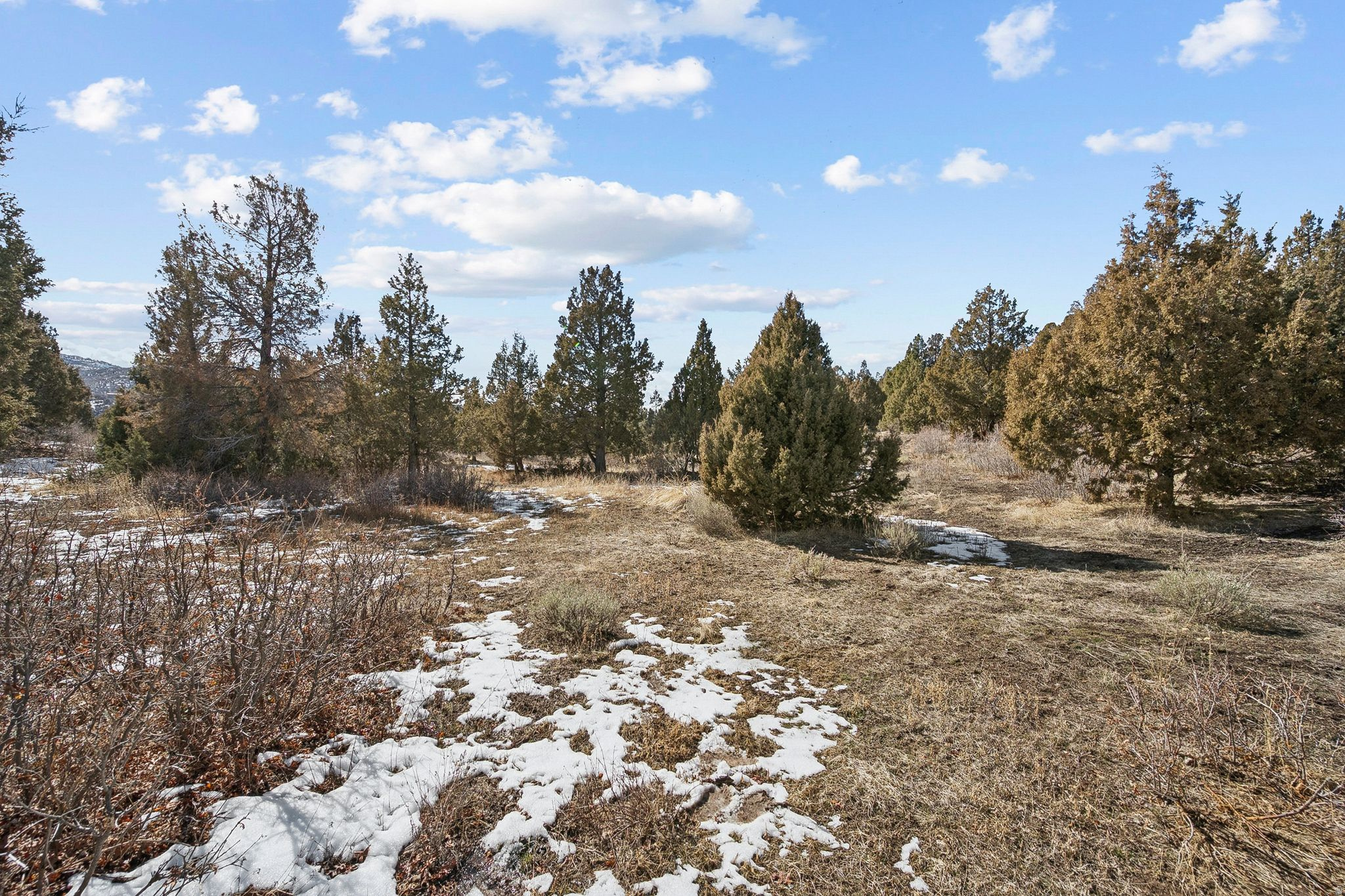 ELK MEADOWS SUBDIVISION - Land