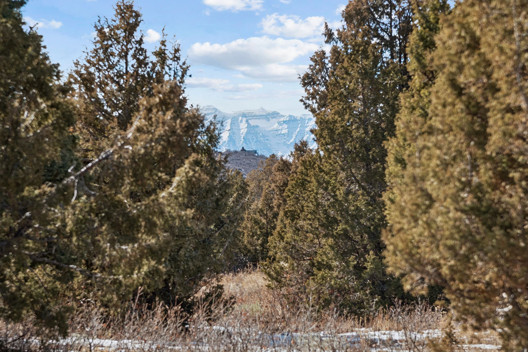 ELK MEADOWS SUBDIVISION - Land
