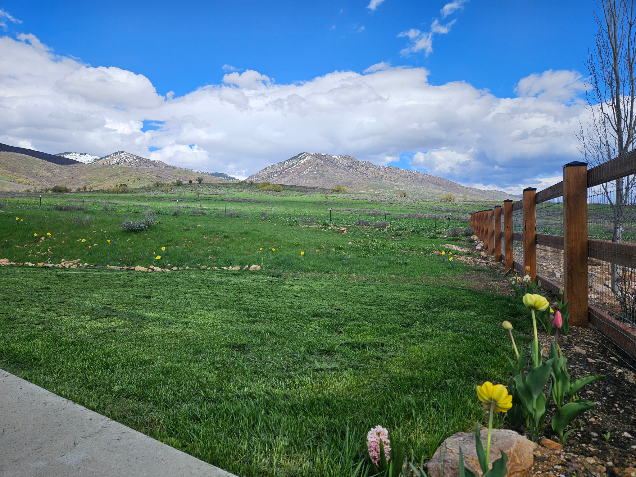 THE PRESERVE - Residential