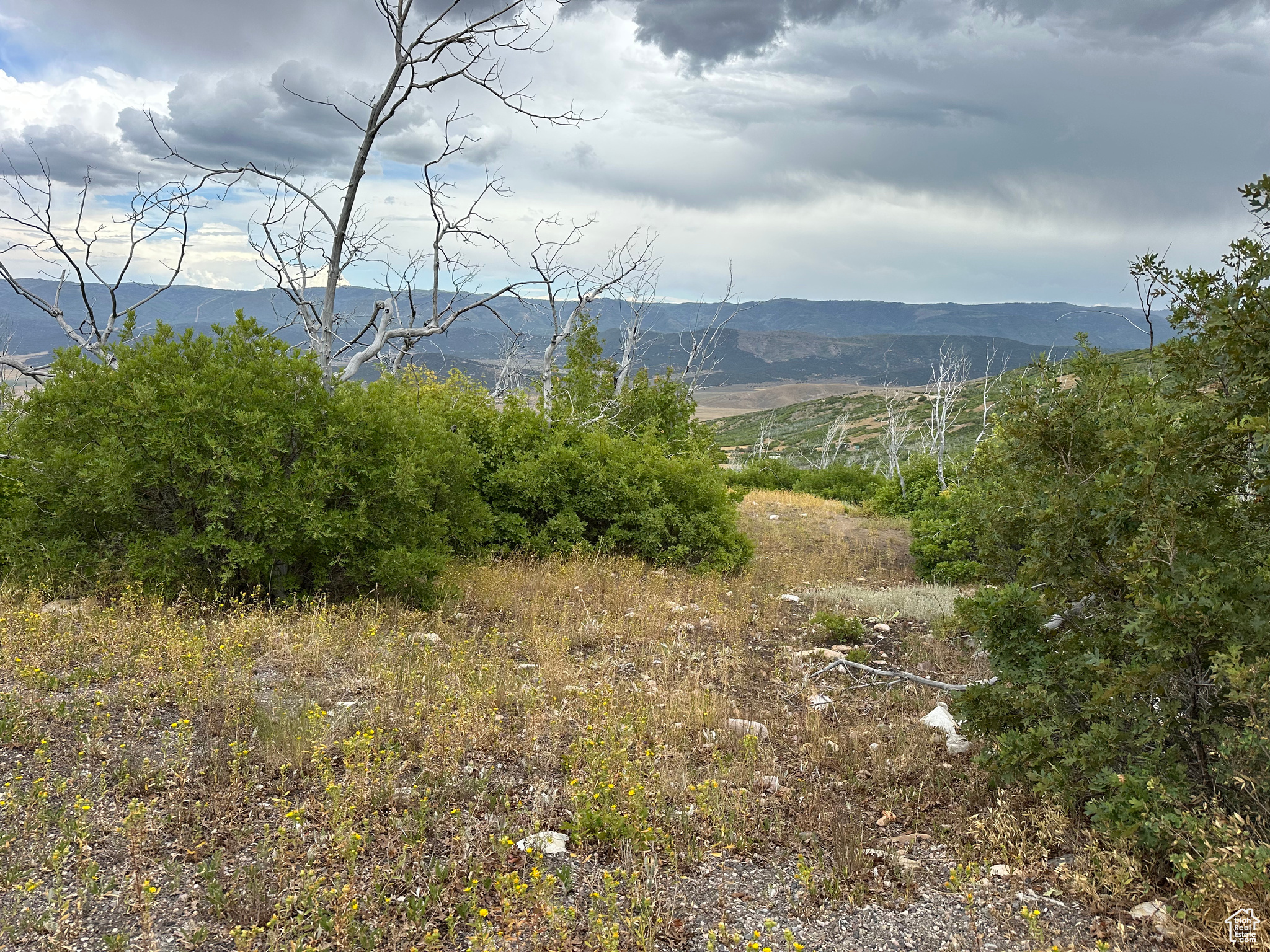 INDIAN RIDGE - Land
