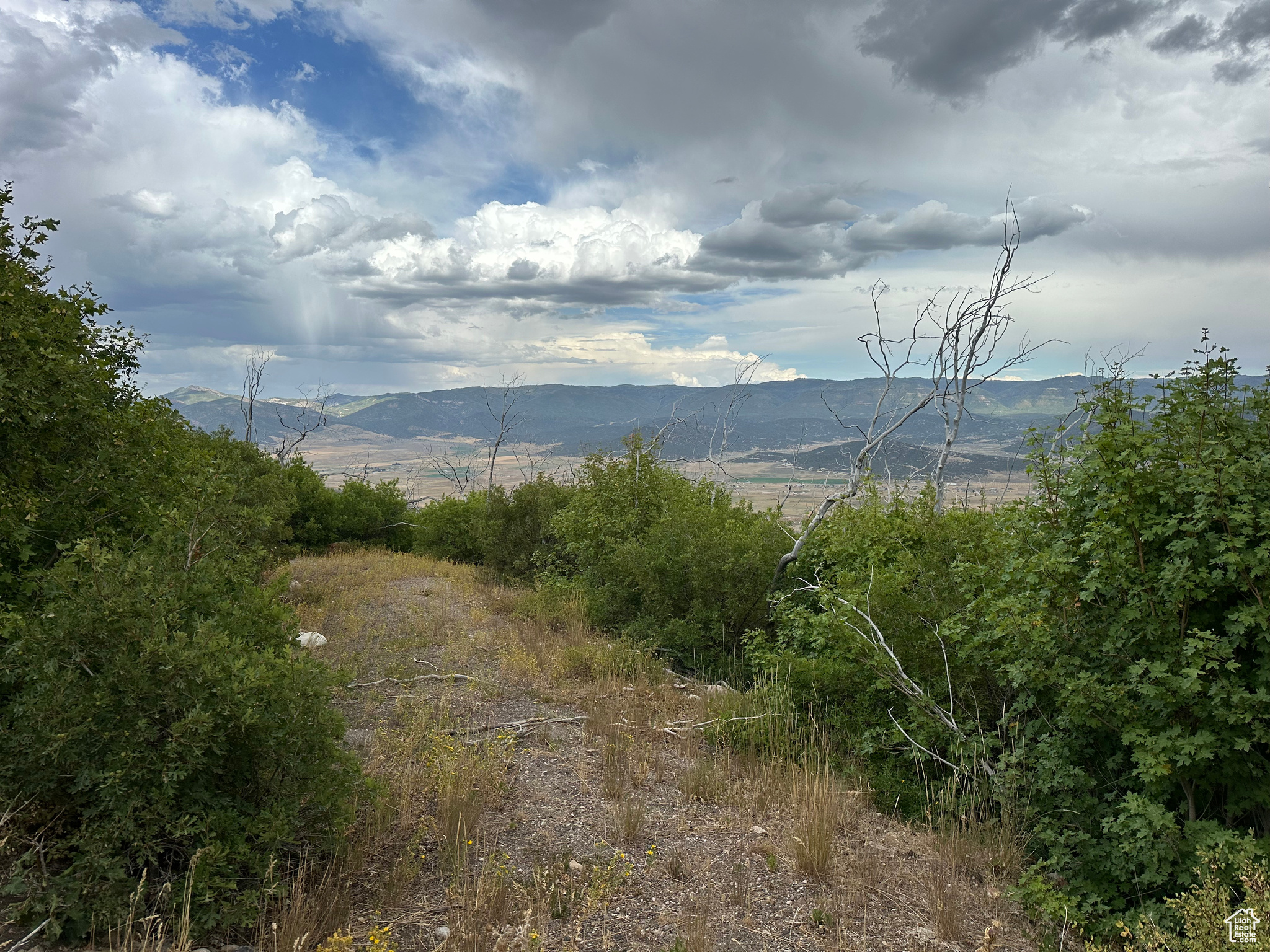 INDIAN RIDGE - Land