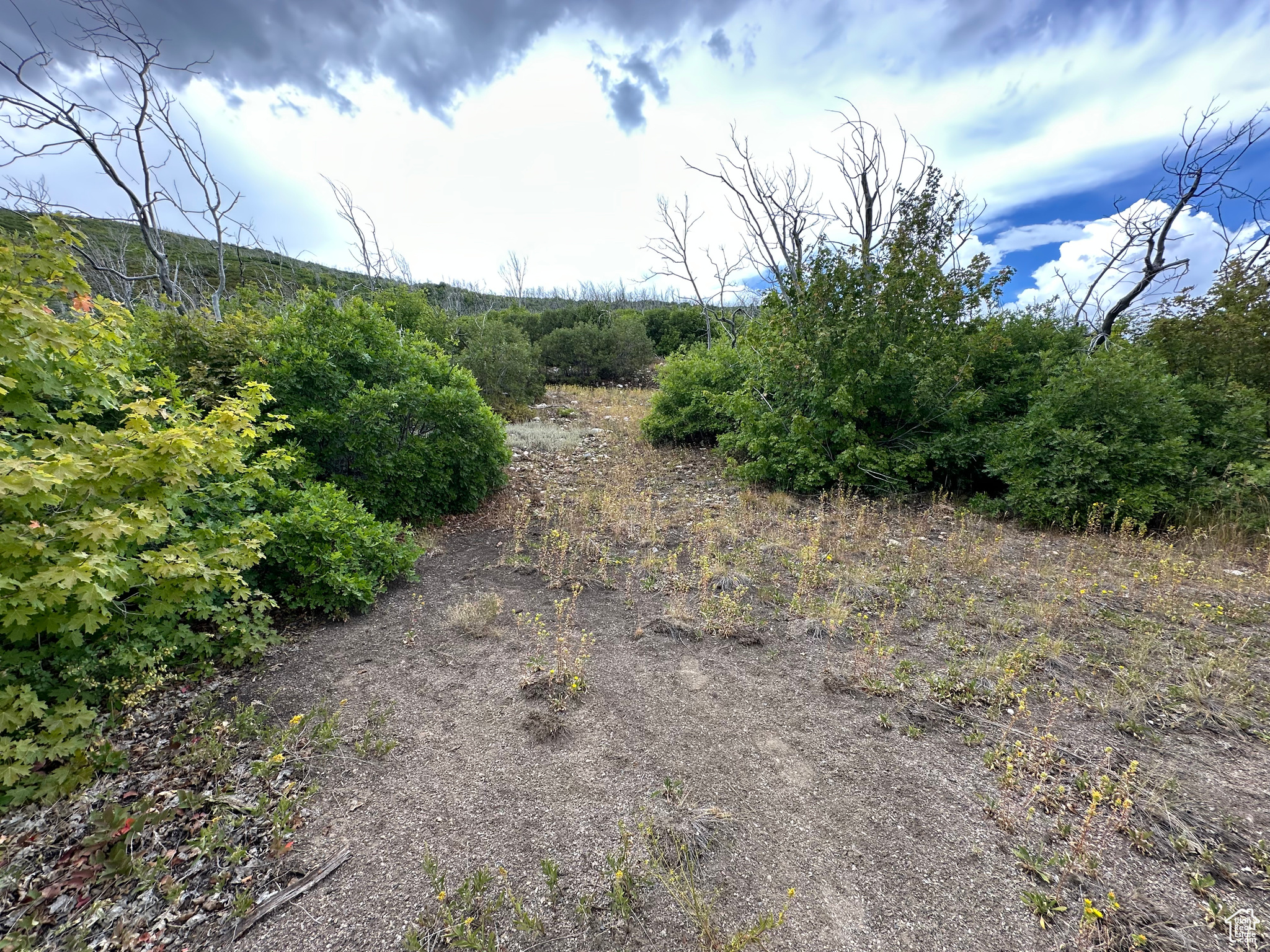 INDIAN RIDGE - Land