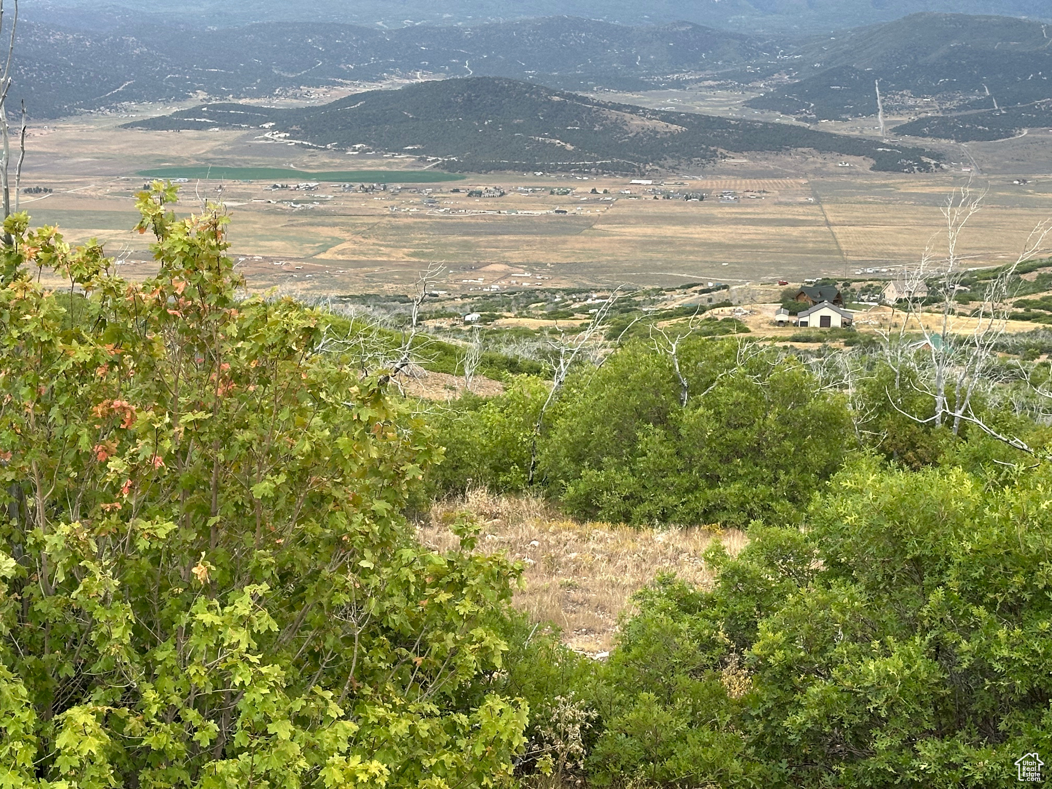 INDIAN RIDGE - Land