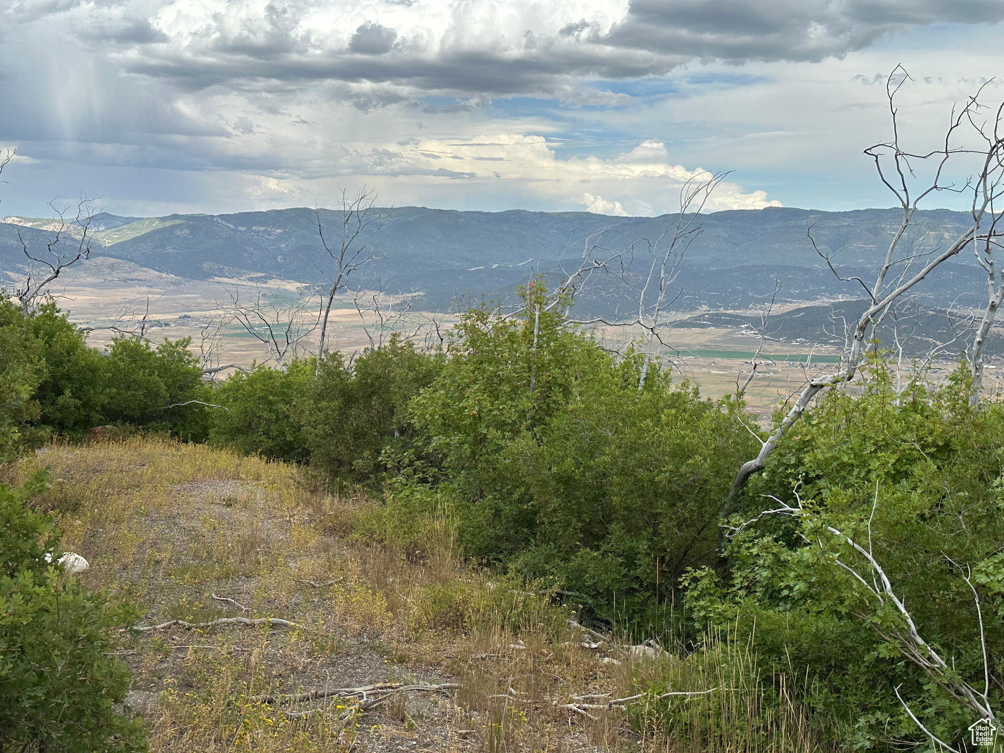 INDIAN RIDGE - Land