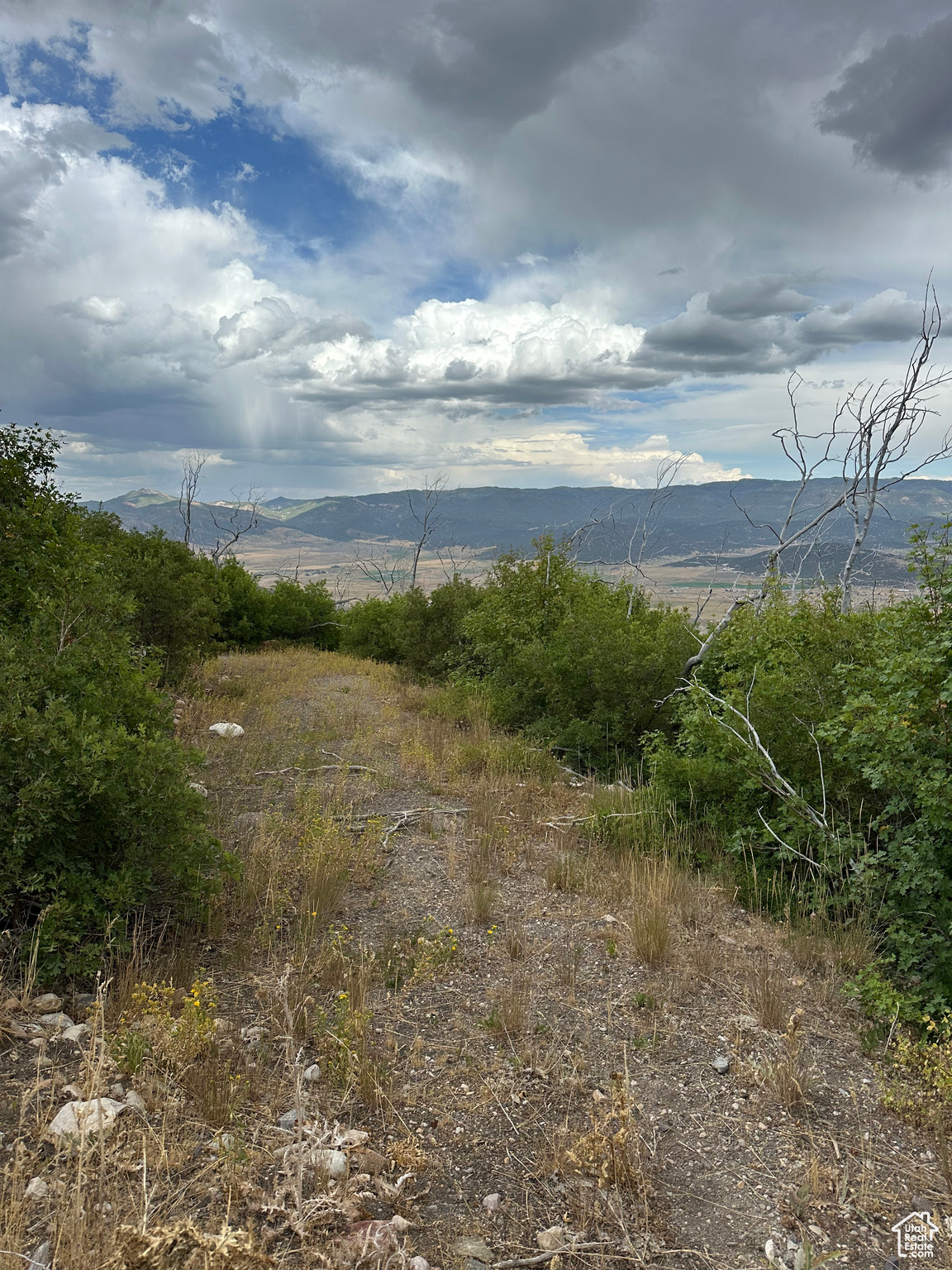 INDIAN RIDGE - Land
