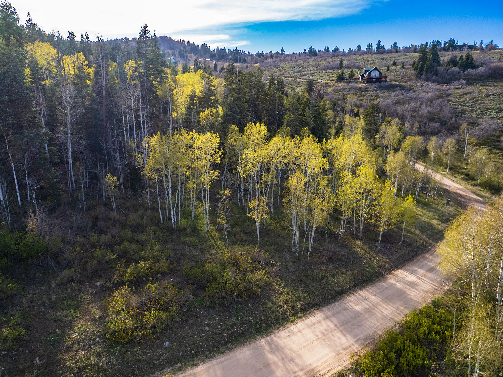 FOREST MEADOW - Land