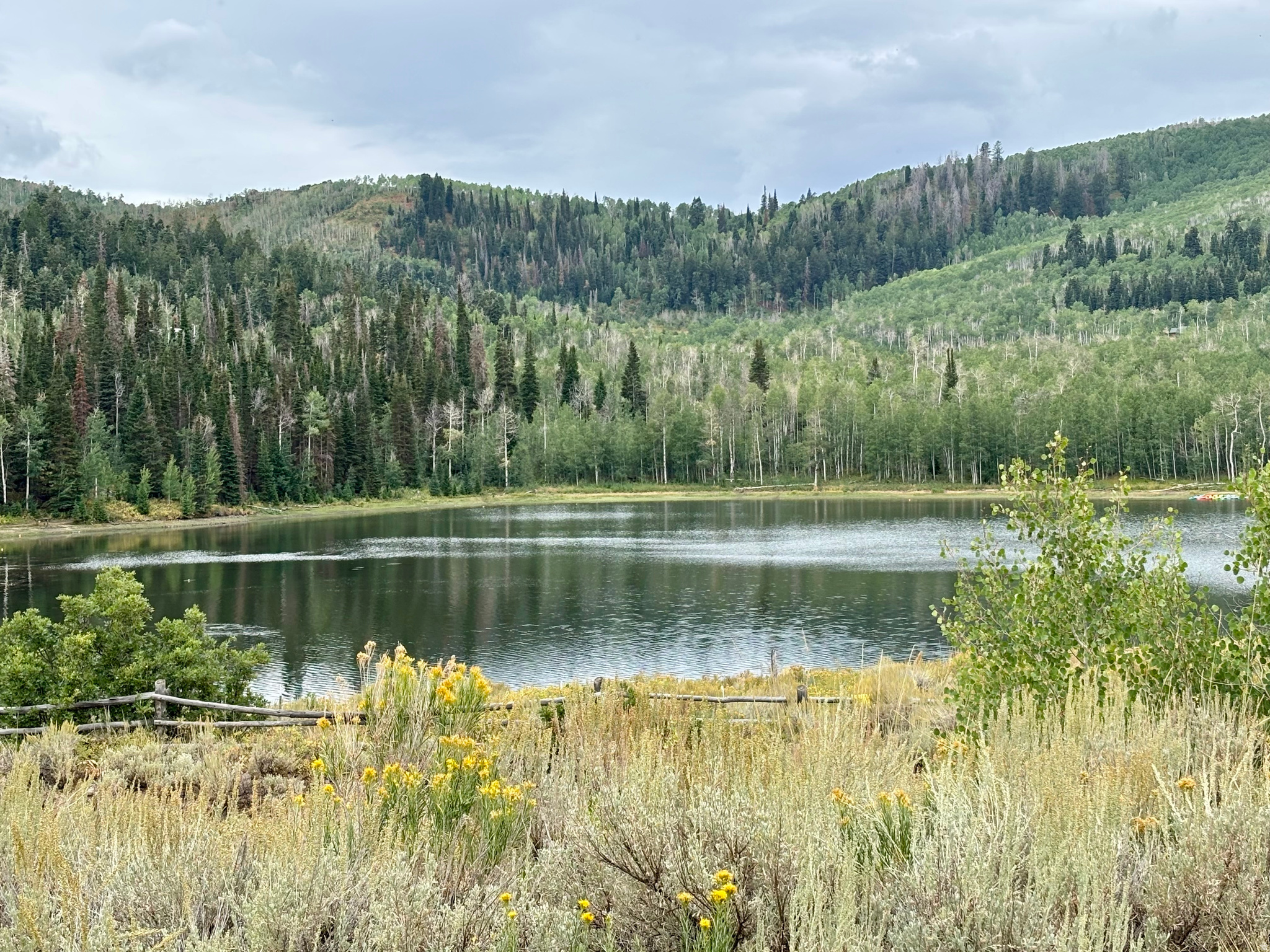 TIMBER LAKES - Land