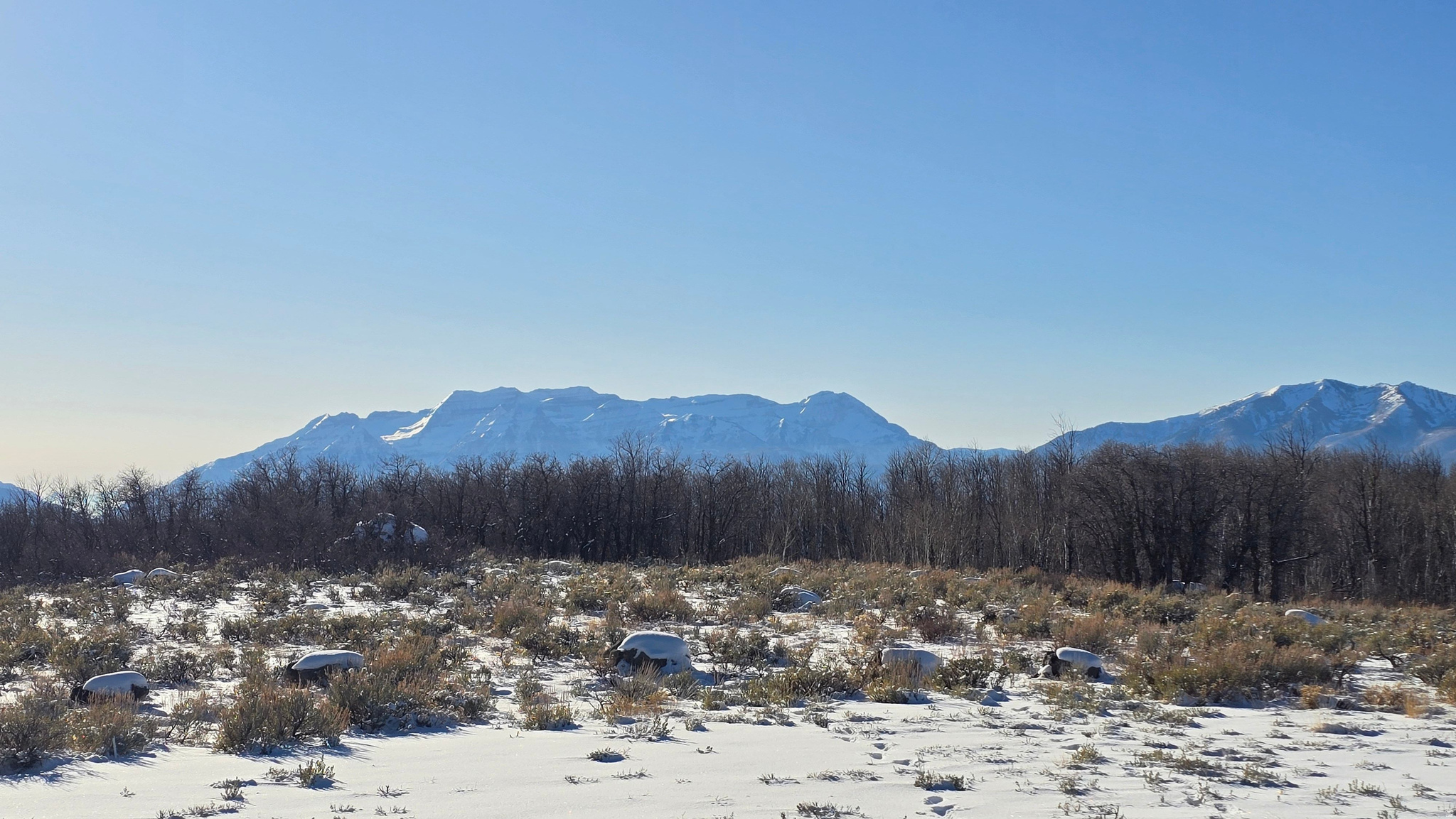 WOLF CREEK RANCH - Land