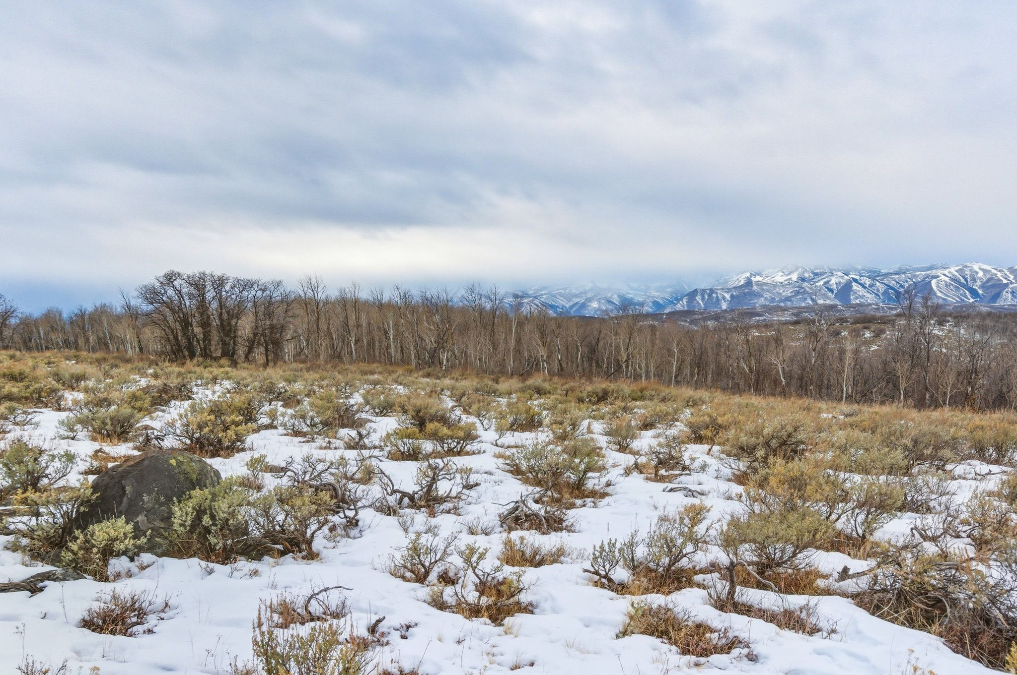 WOLF CREEK RANCH - Land