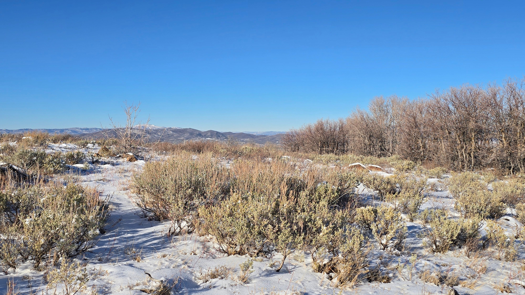 WOLF CREEK RANCH - Land