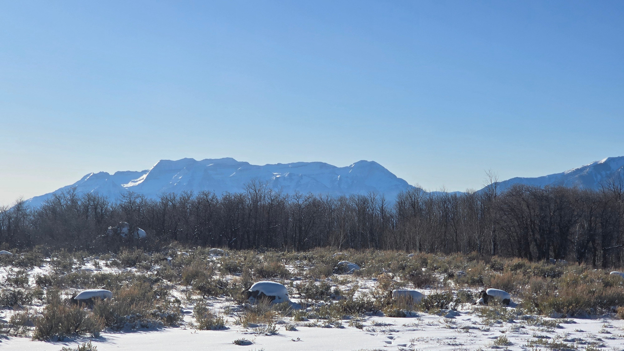 WOLF CREEK RANCH - Land