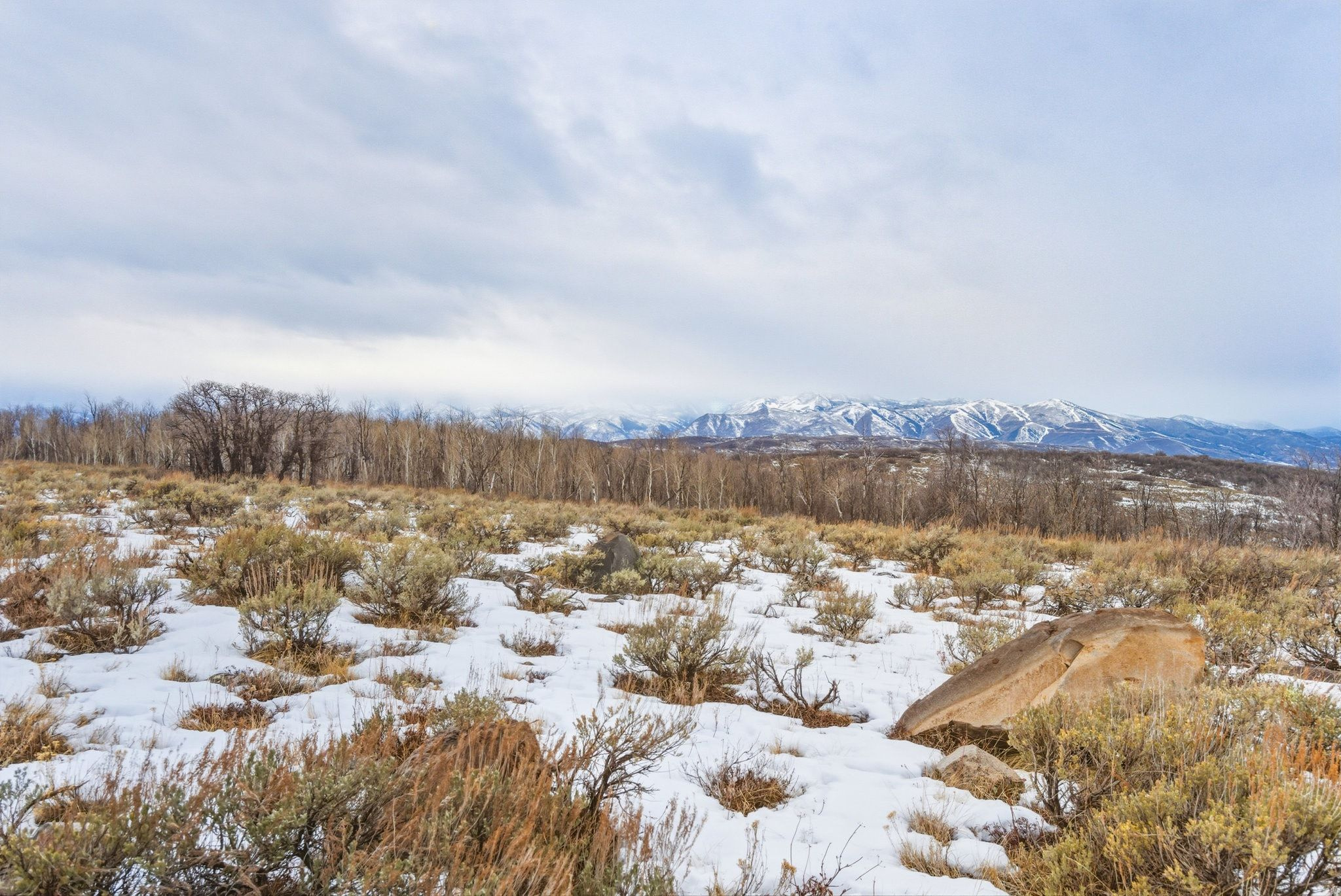 WOLF CREEK RANCH - Land