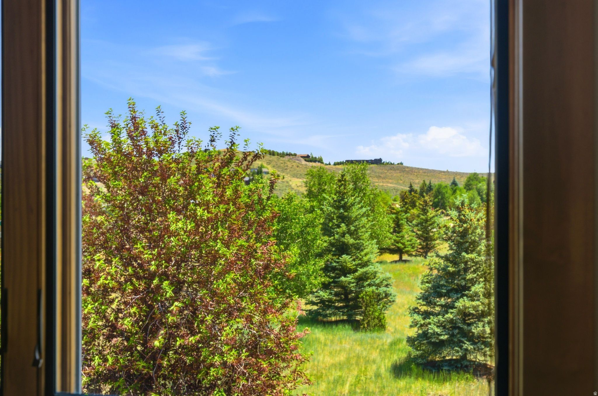 MOUNTAIN RANCH ESTATES - Residential